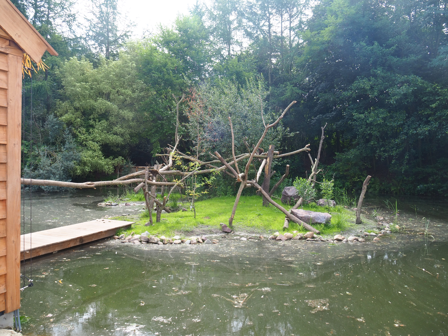 Lac Alaotra bamboo lemur island, 2019-08-11