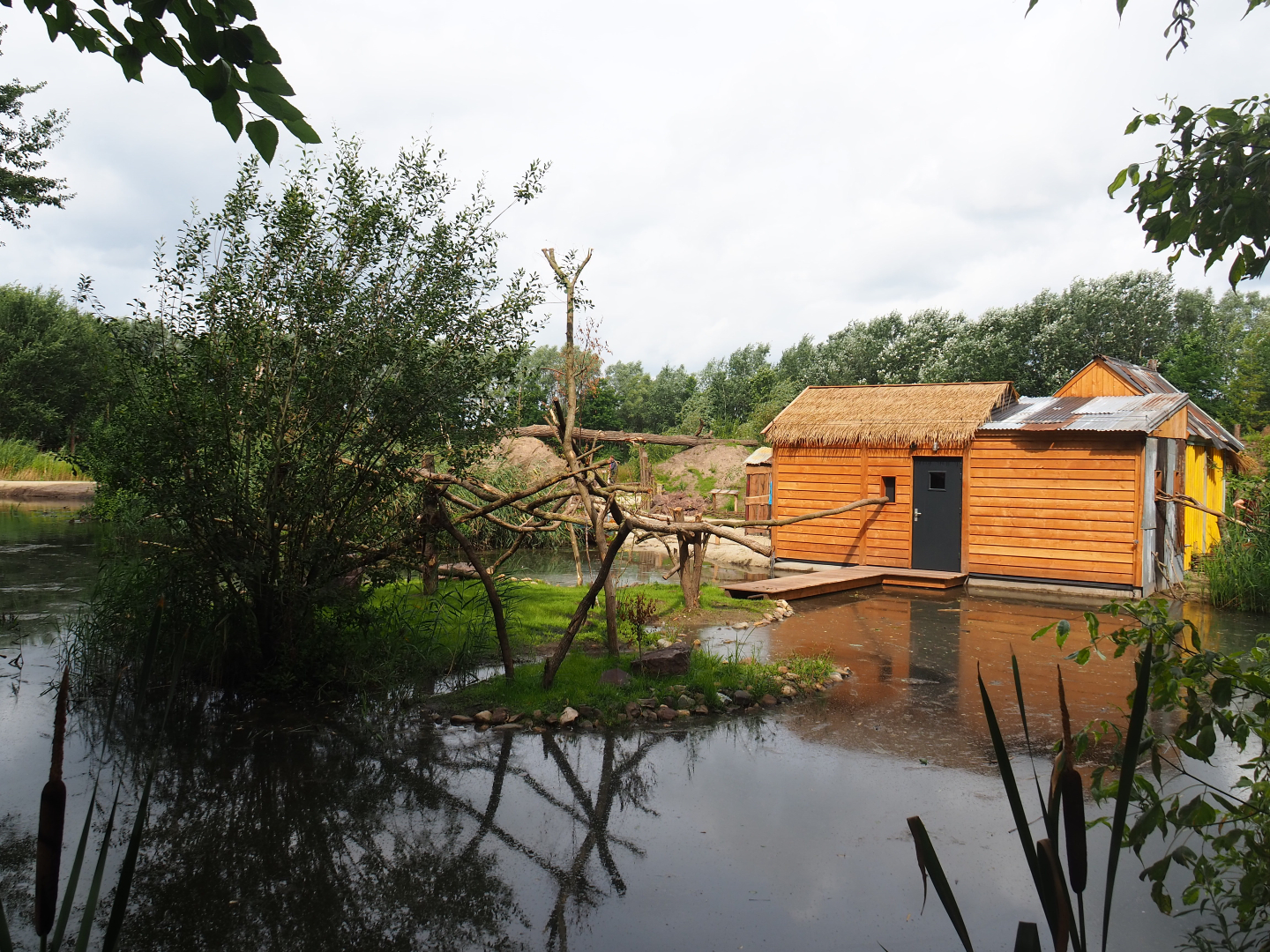 Lac Alaotra bamboo lemur island, 2019-08-11