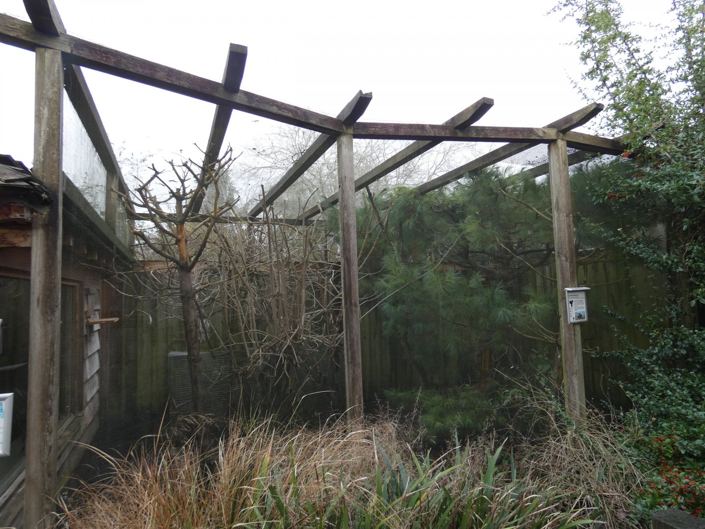 Lac Alaotra bamboo lemur outdoor enclosure