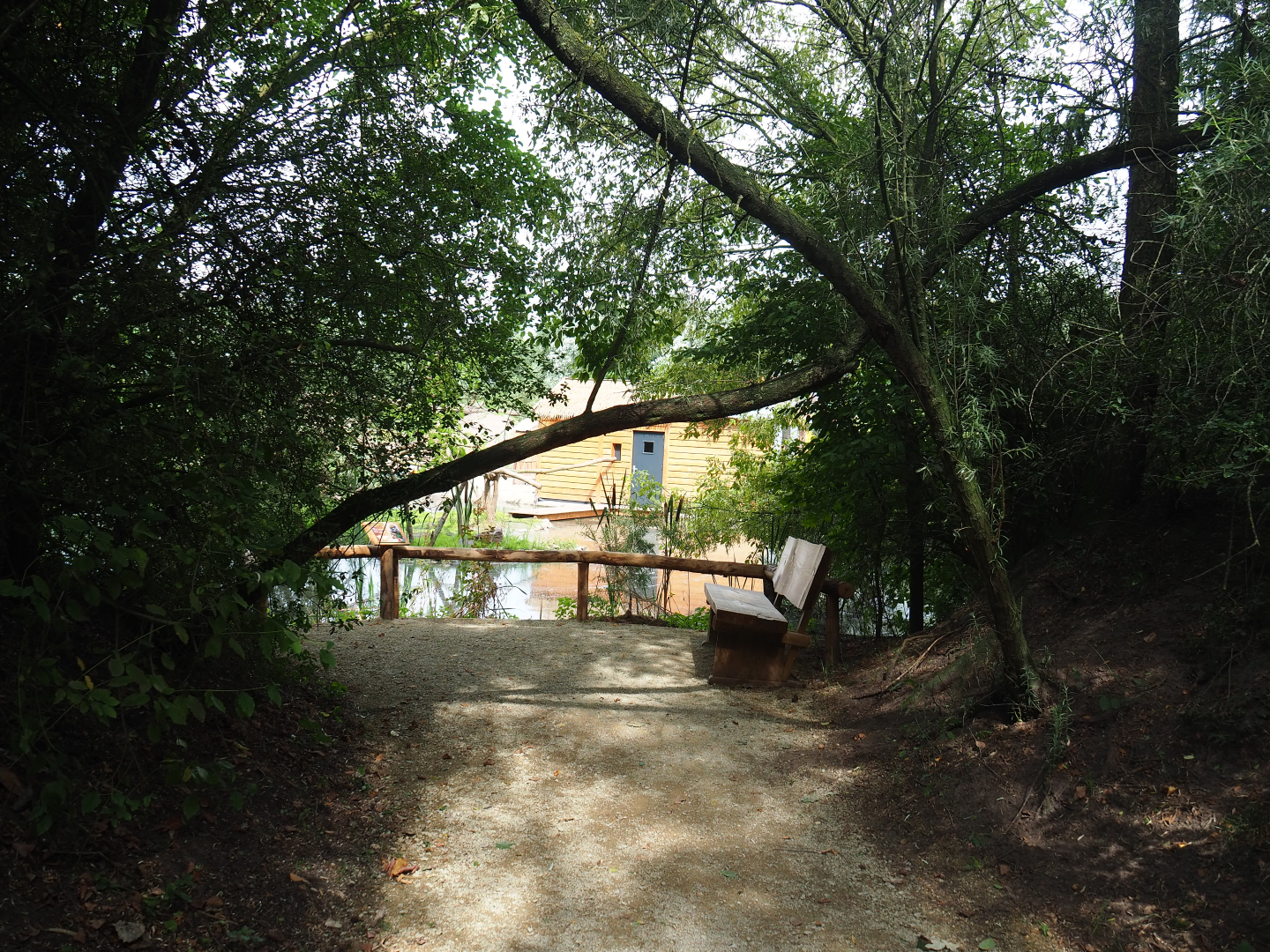 Lac Alaotra bamboo lemur viewing area, 2019-08-11