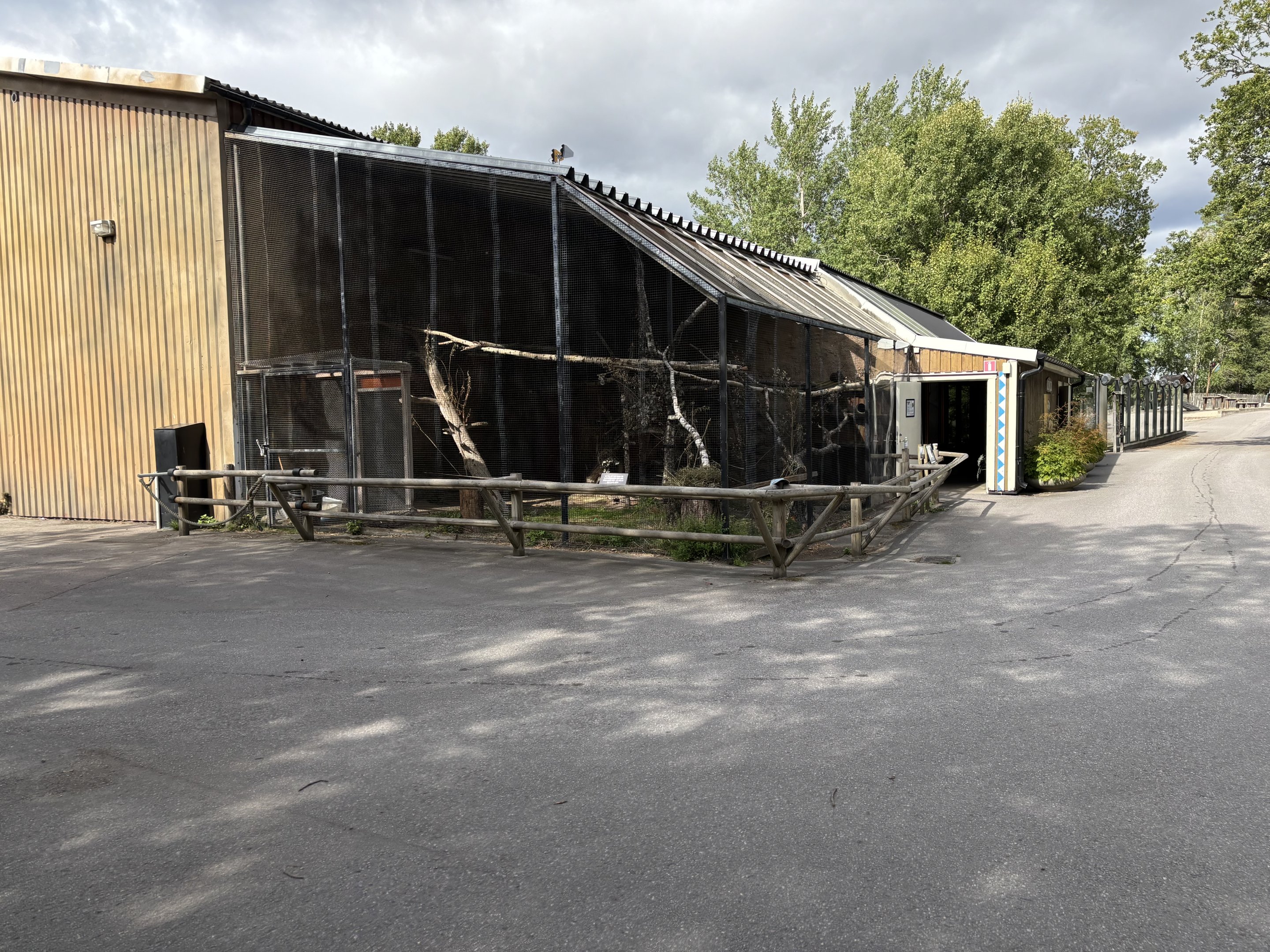 Lac alaotra bamboo lemur
