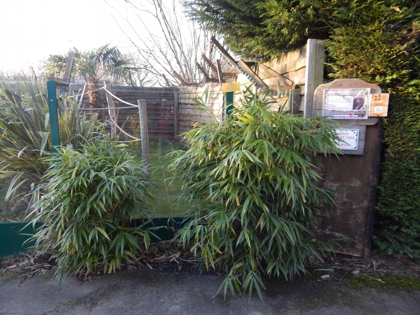 Lac Alaotra gentle lemur enclosure 260124