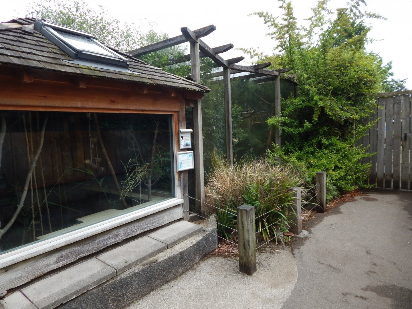 Lac Alaotra gentle lemur exhibit 190622