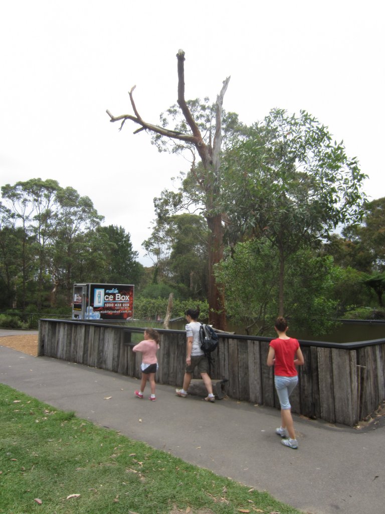 Lace Monitor enclosure (monitor in tree)