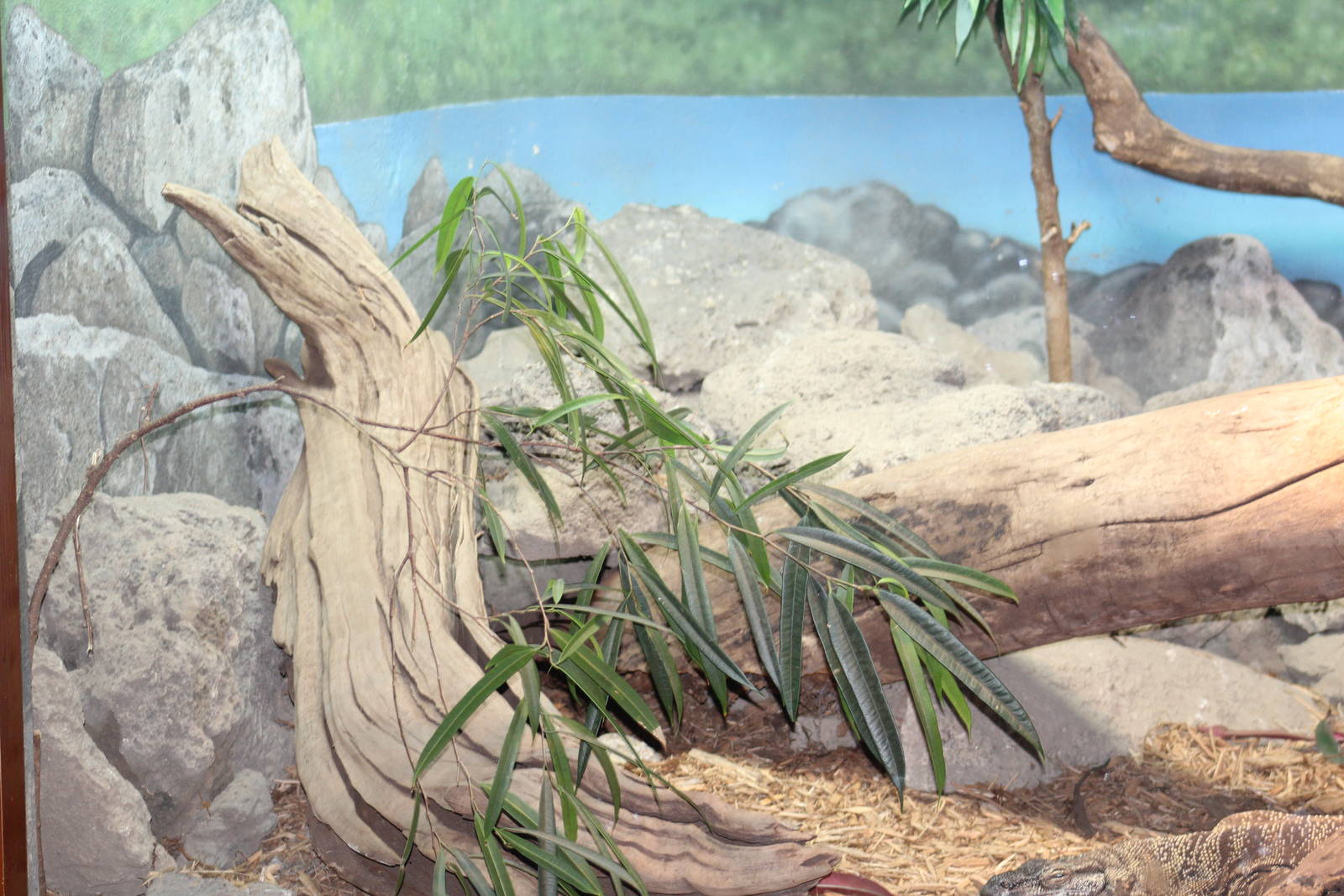 Lace Monitor Enclosure (Part 1)