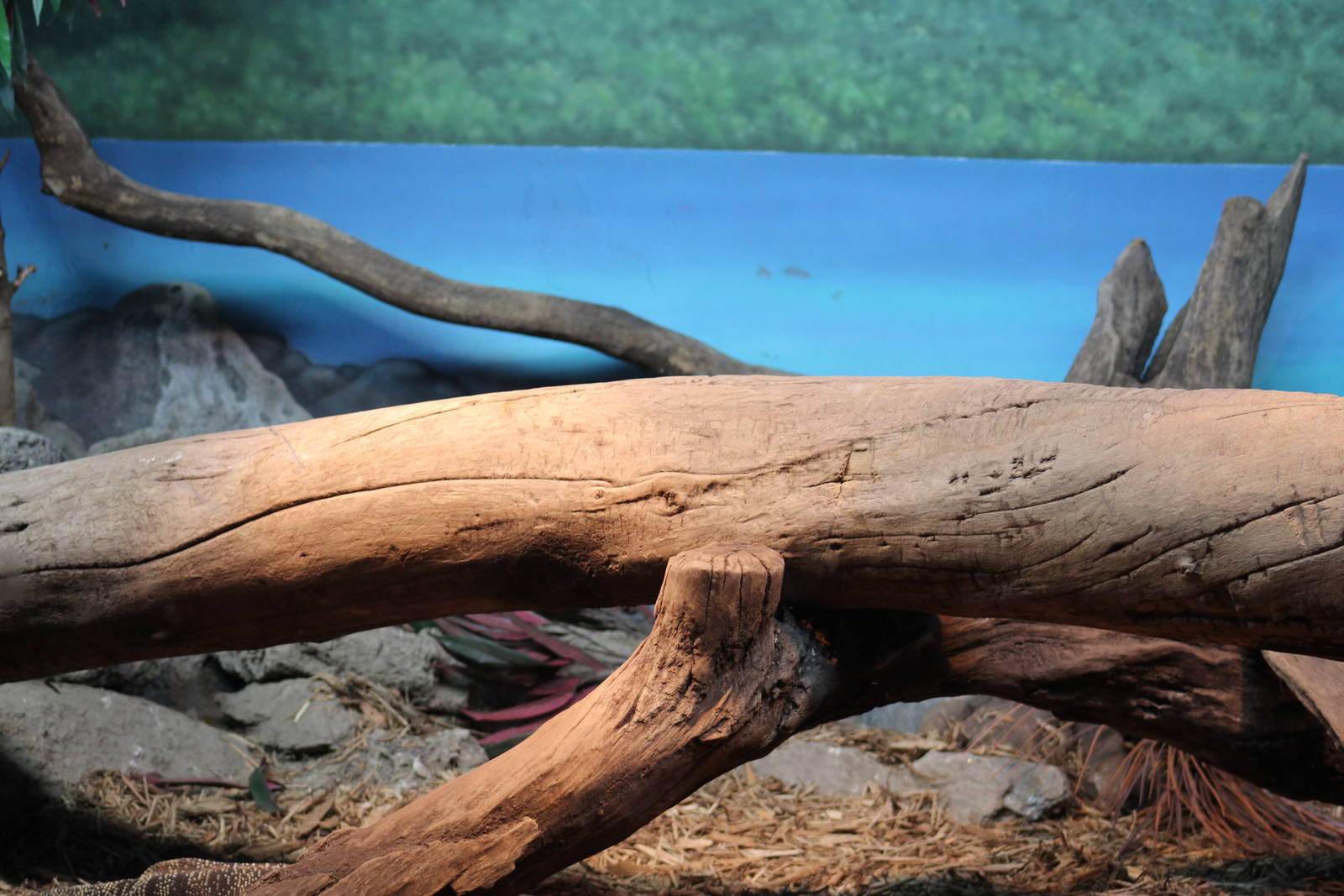 Lace Monitor Enclosure (Part 2)