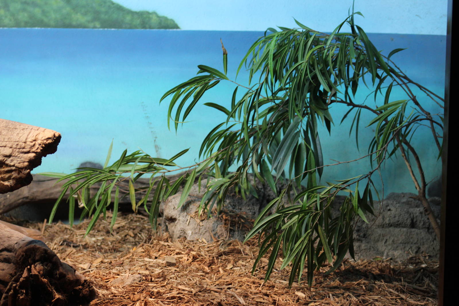 Lace Monitor Enclosure (Part 3)