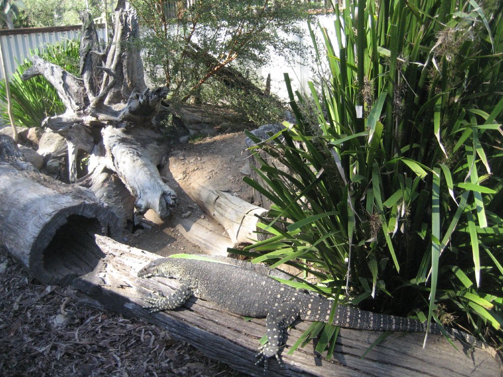 Lace Monitor Enclosure