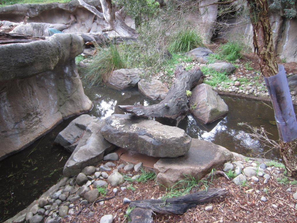 Lace Monitor enclosure