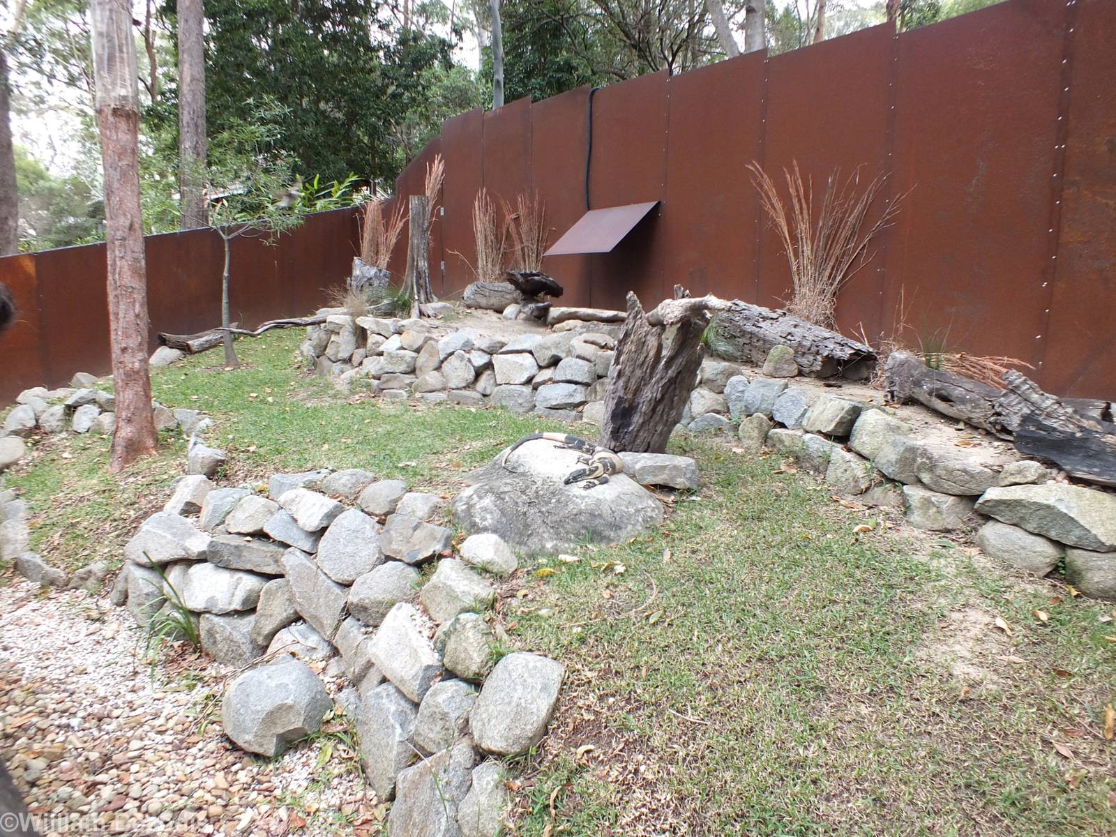 Lace Monitor Enclosure