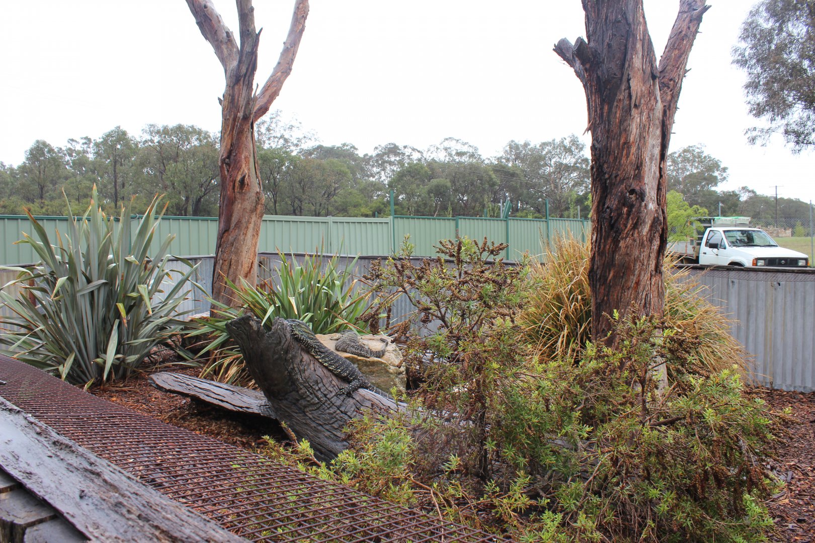 Lace Monitor enclosure