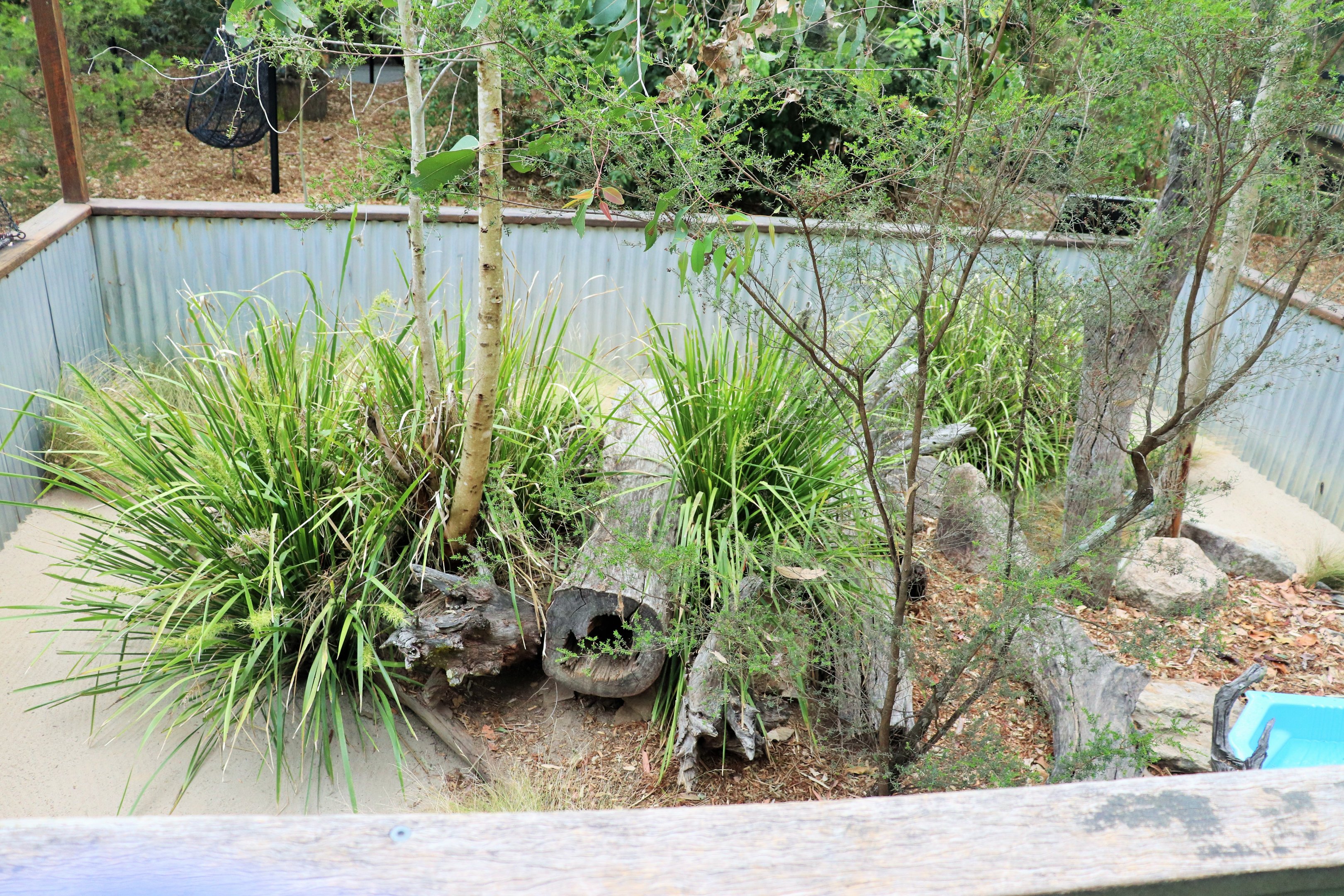 Lace Monitor Enclosure