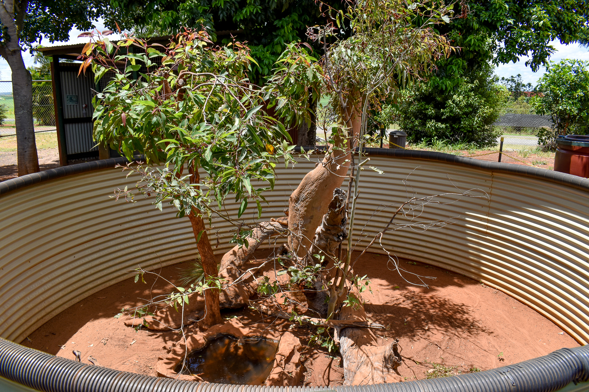 Lace Monitor Enclosure