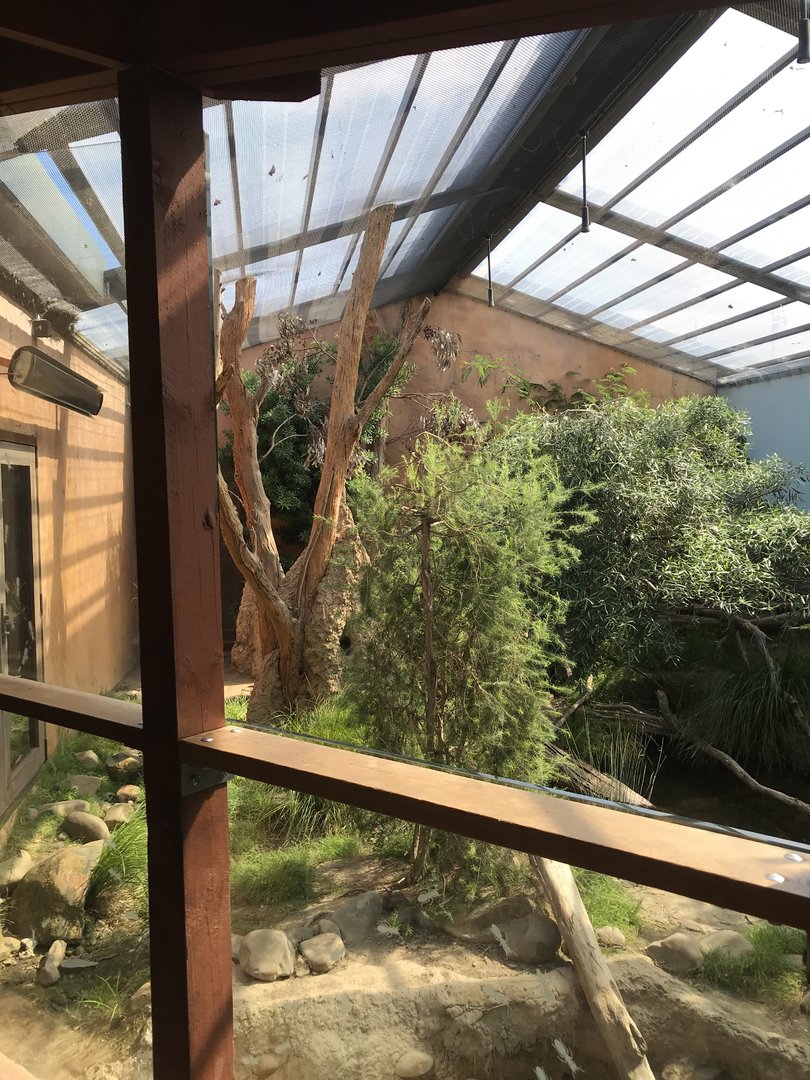 Lace Monitor enclosure