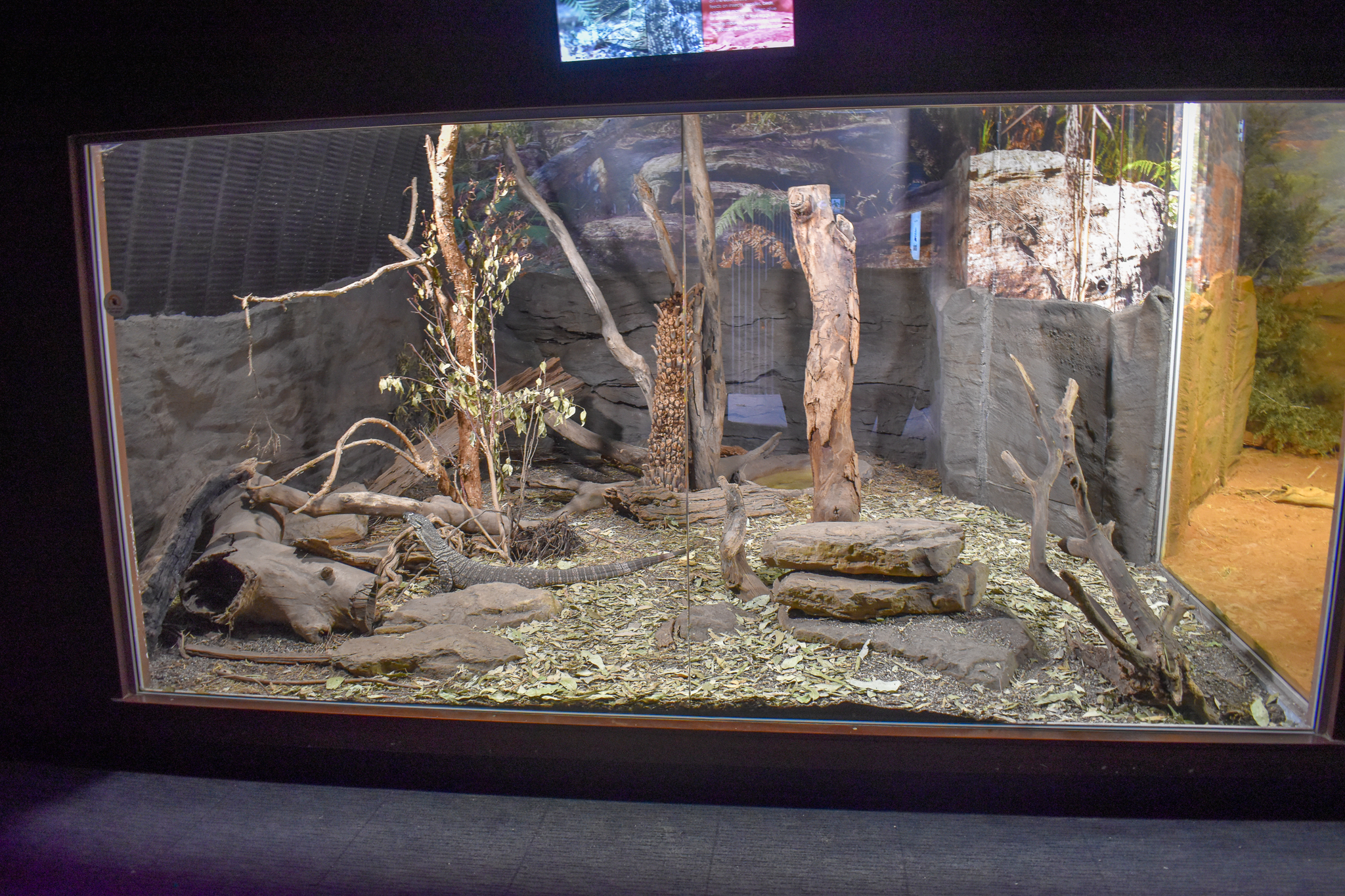 Lace Monitor Enclosure