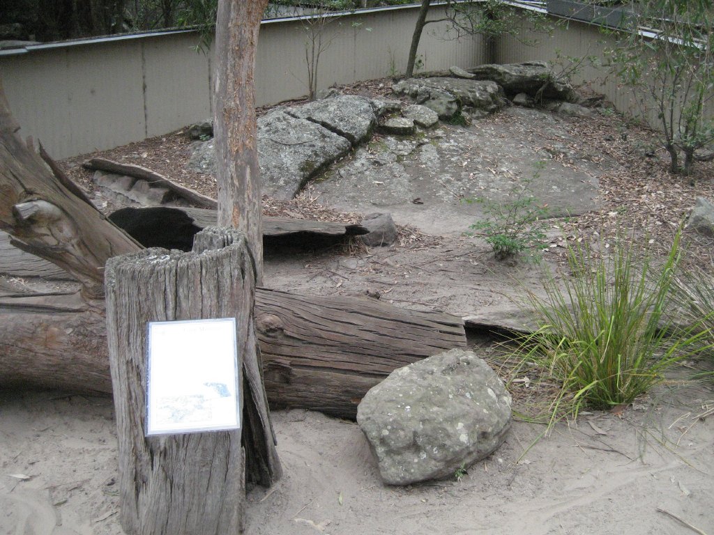 Lace Monitor enclosure