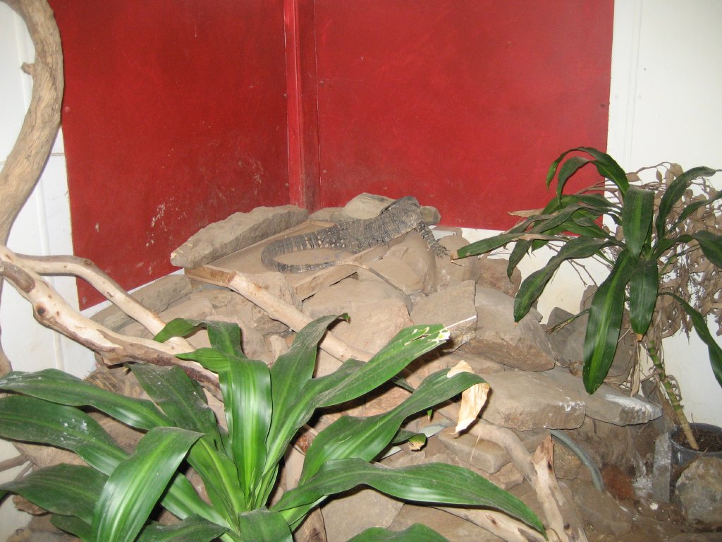 Lace Monitor enclosure