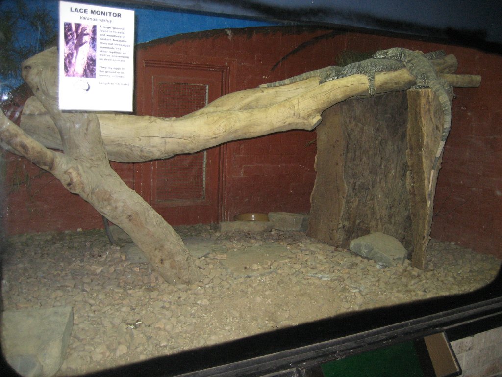 Lace Monitor enclosure