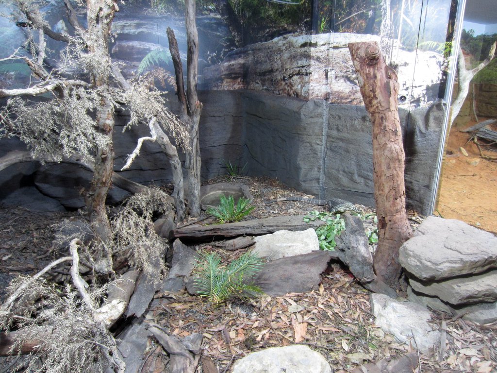 Lace Monitor Enclsoure