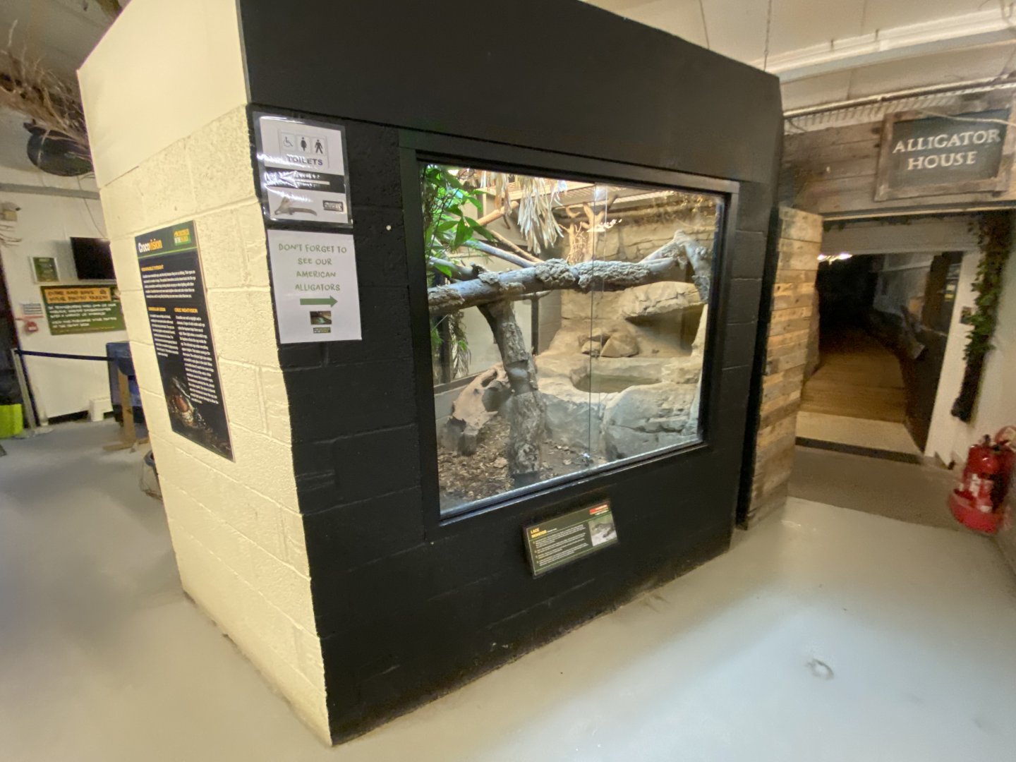 Lace monitor exhibit 040124