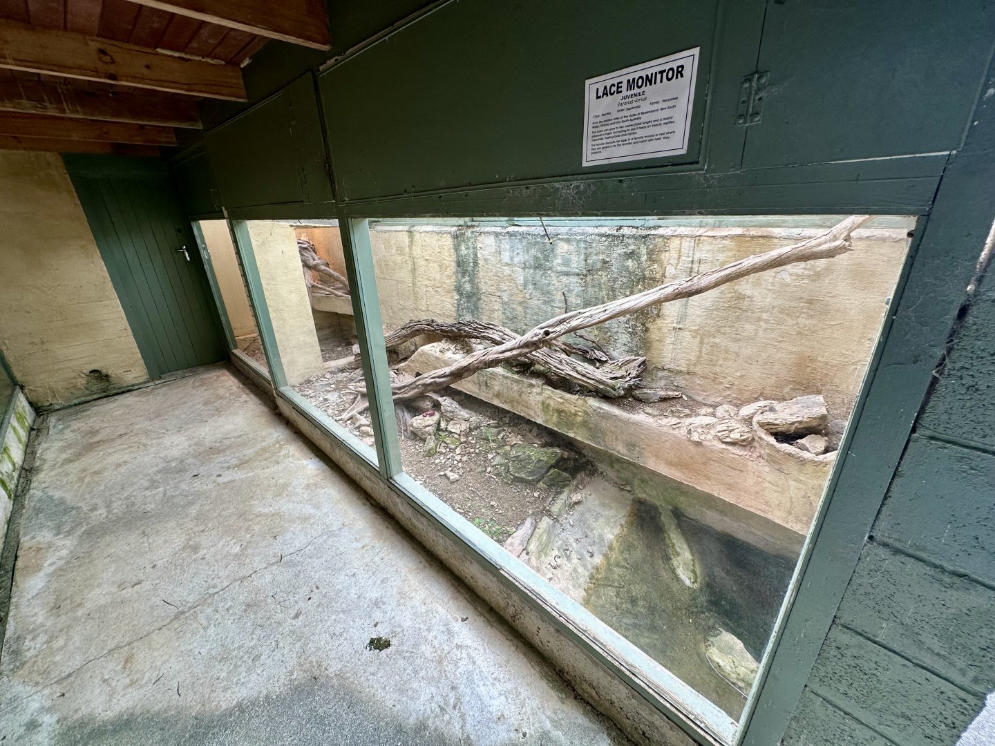 Lace Monitor Exhibit 2