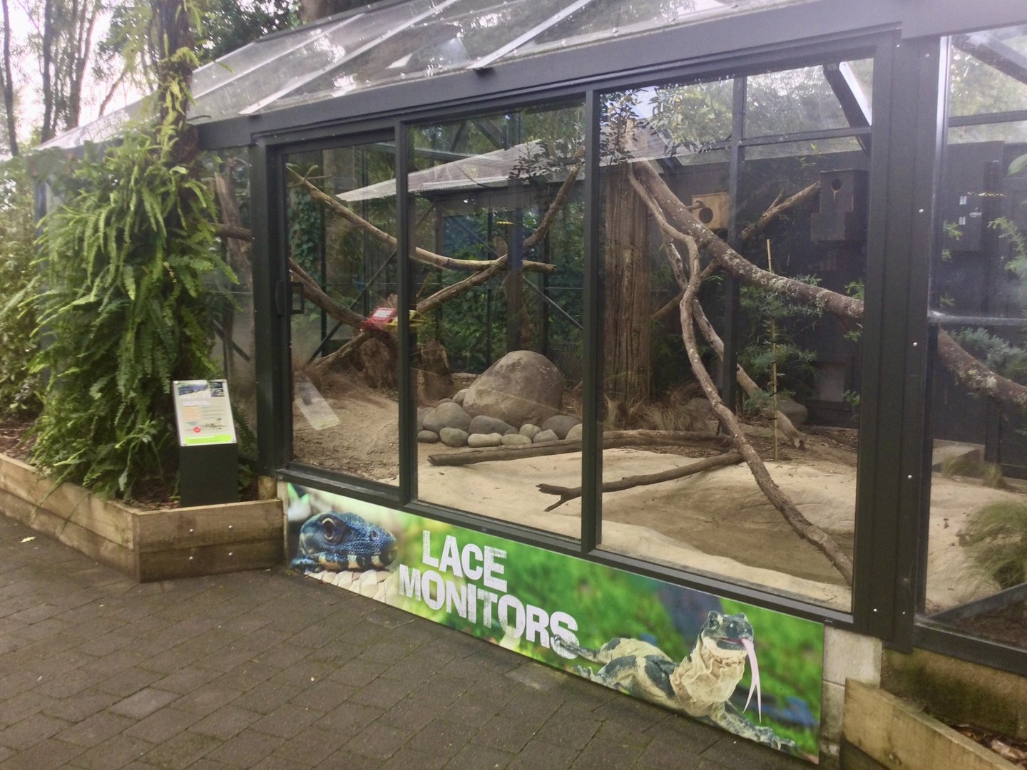 Lace Monitor Exhibit (New)