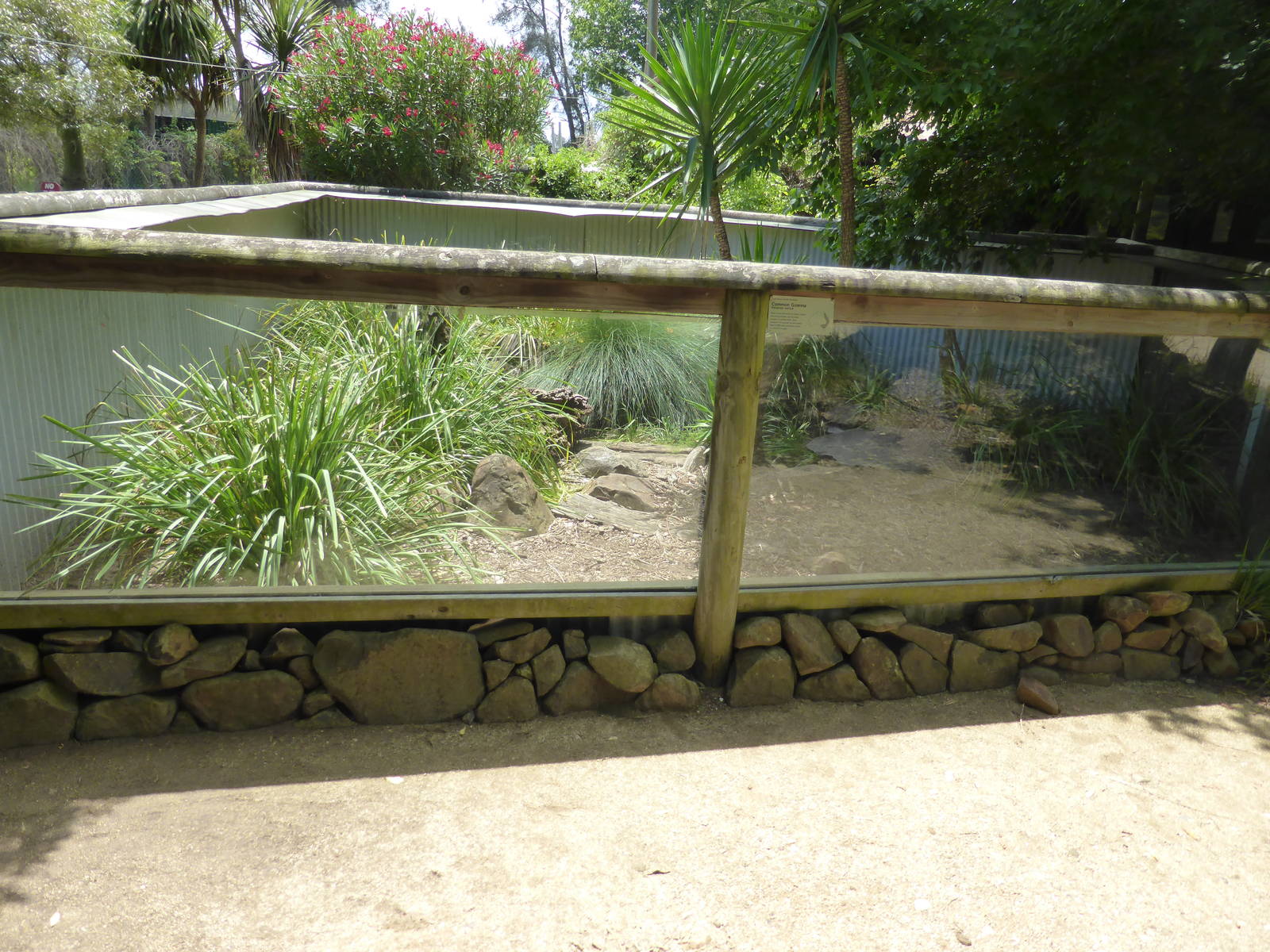 Lace Monitor exhibit