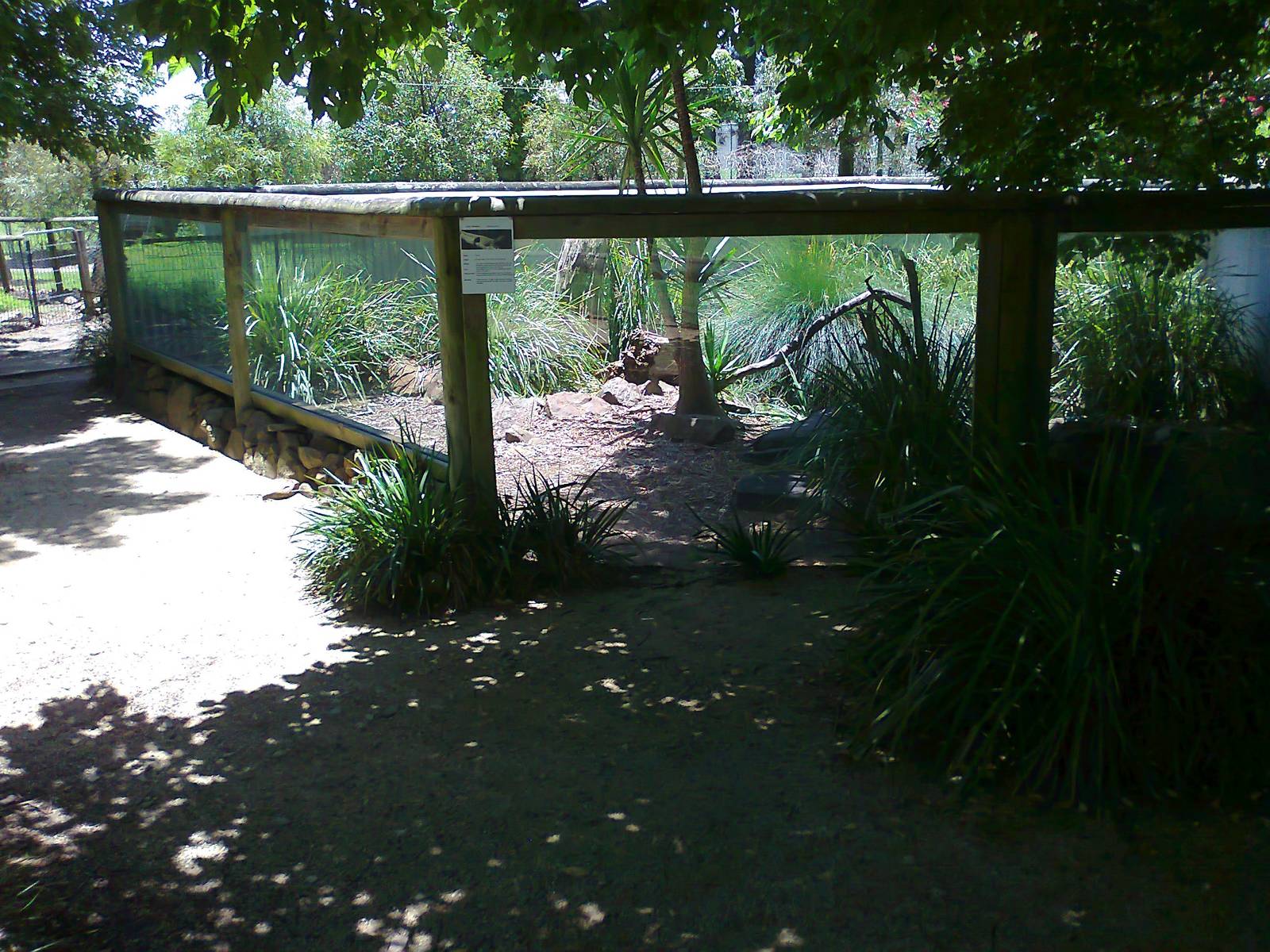Lace Monitor exhibit