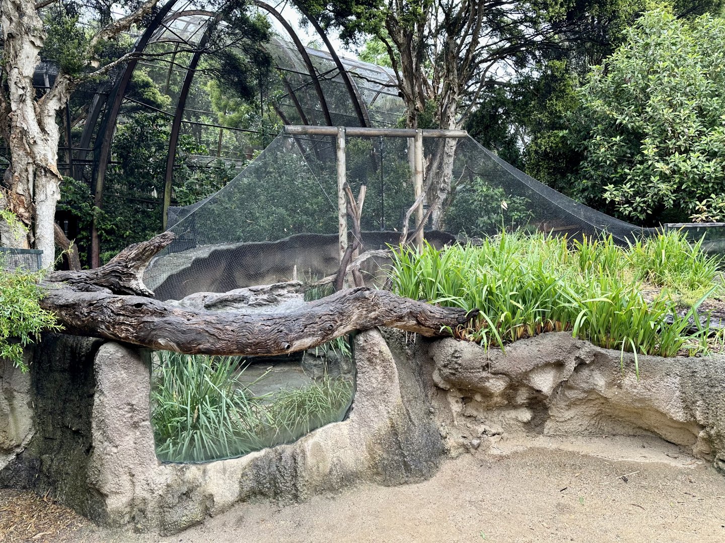 Lace Monitor Exhibit