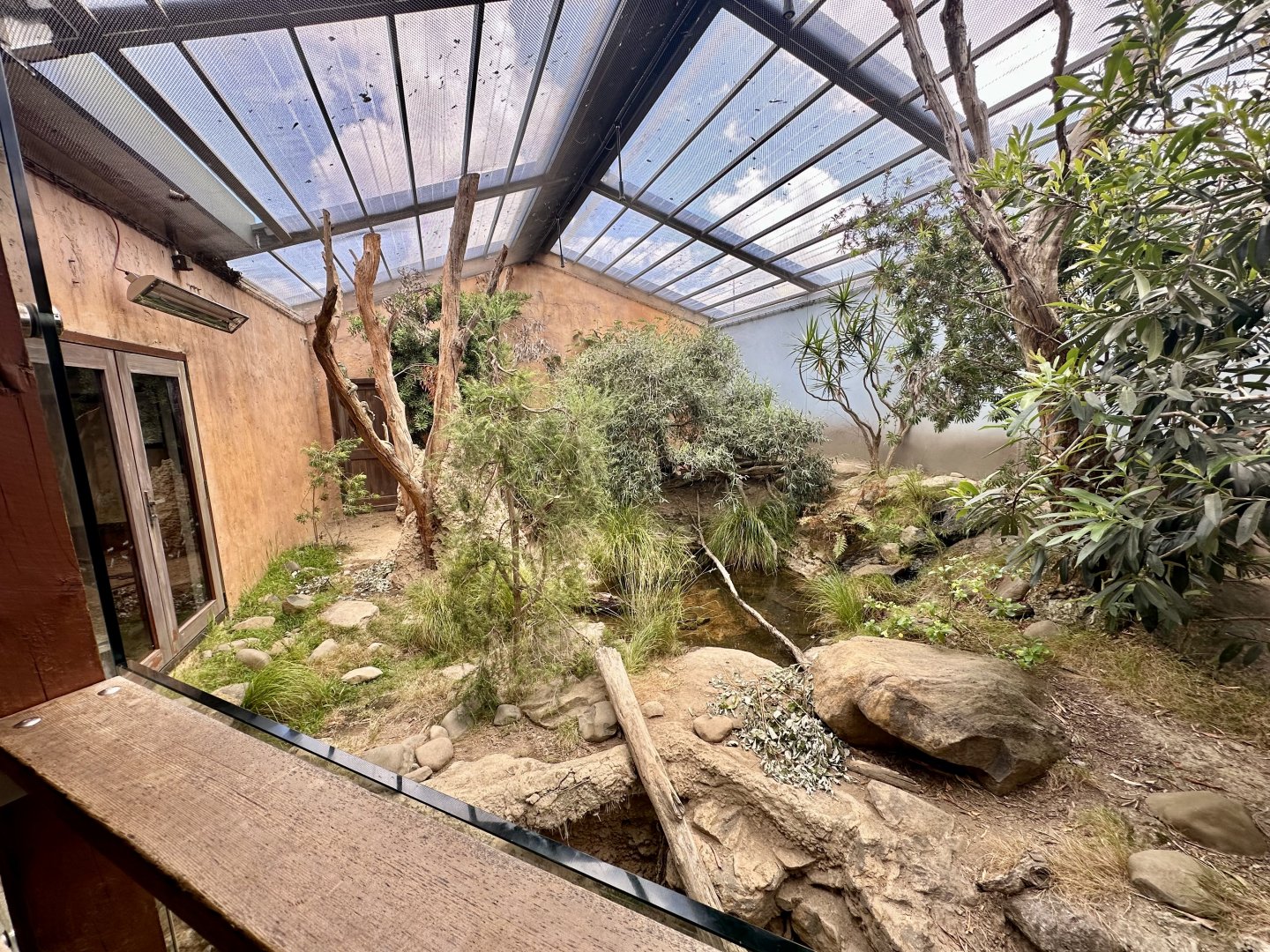 Lace Monitor Exhibit