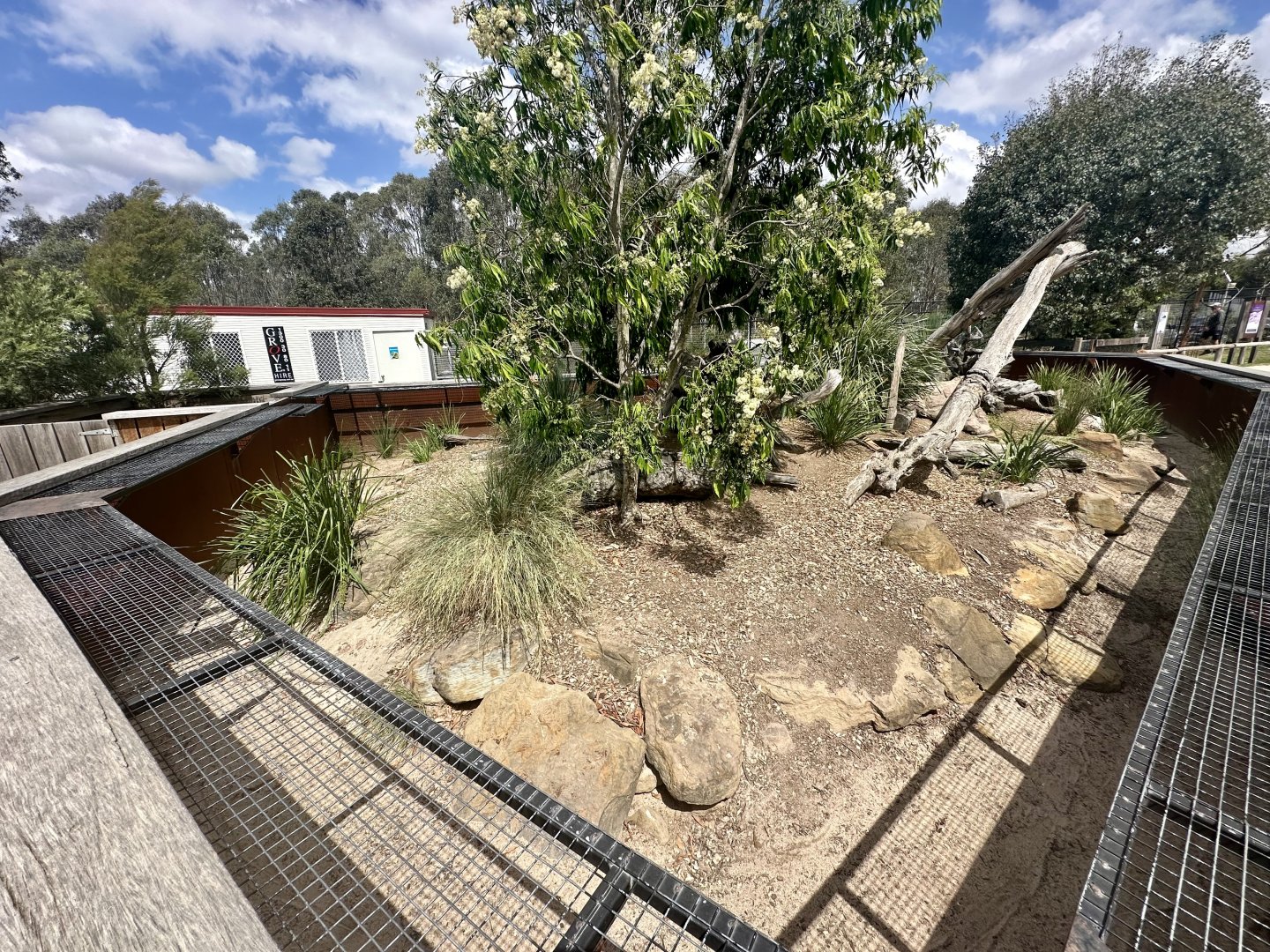 Lace Monitor Exhibit