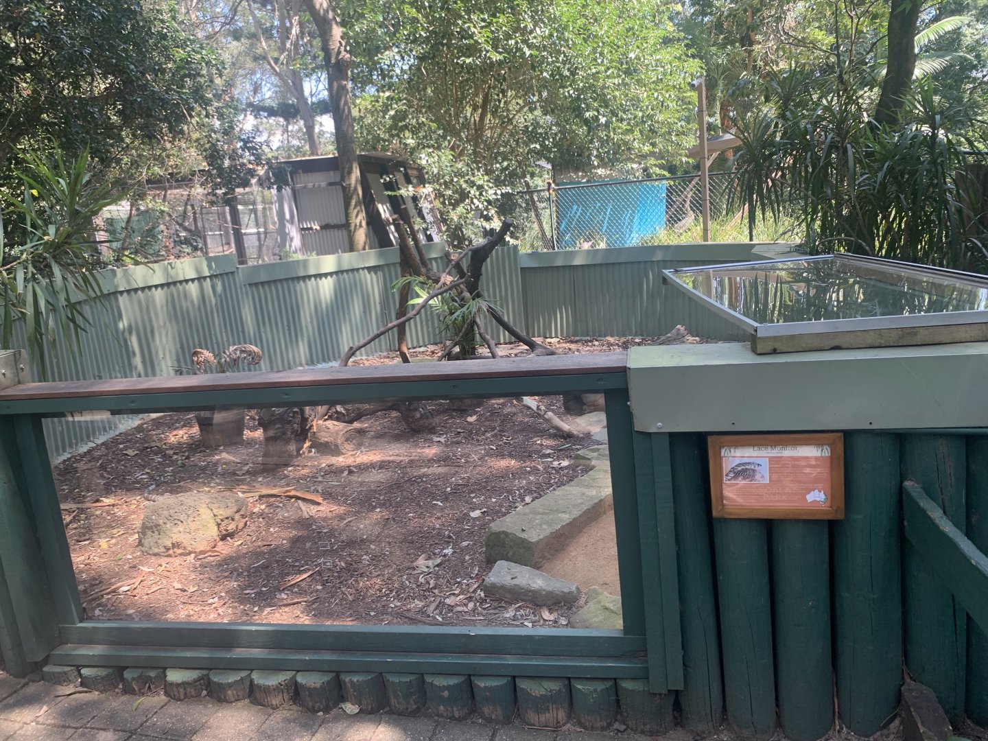 Lace Monitor exhibit