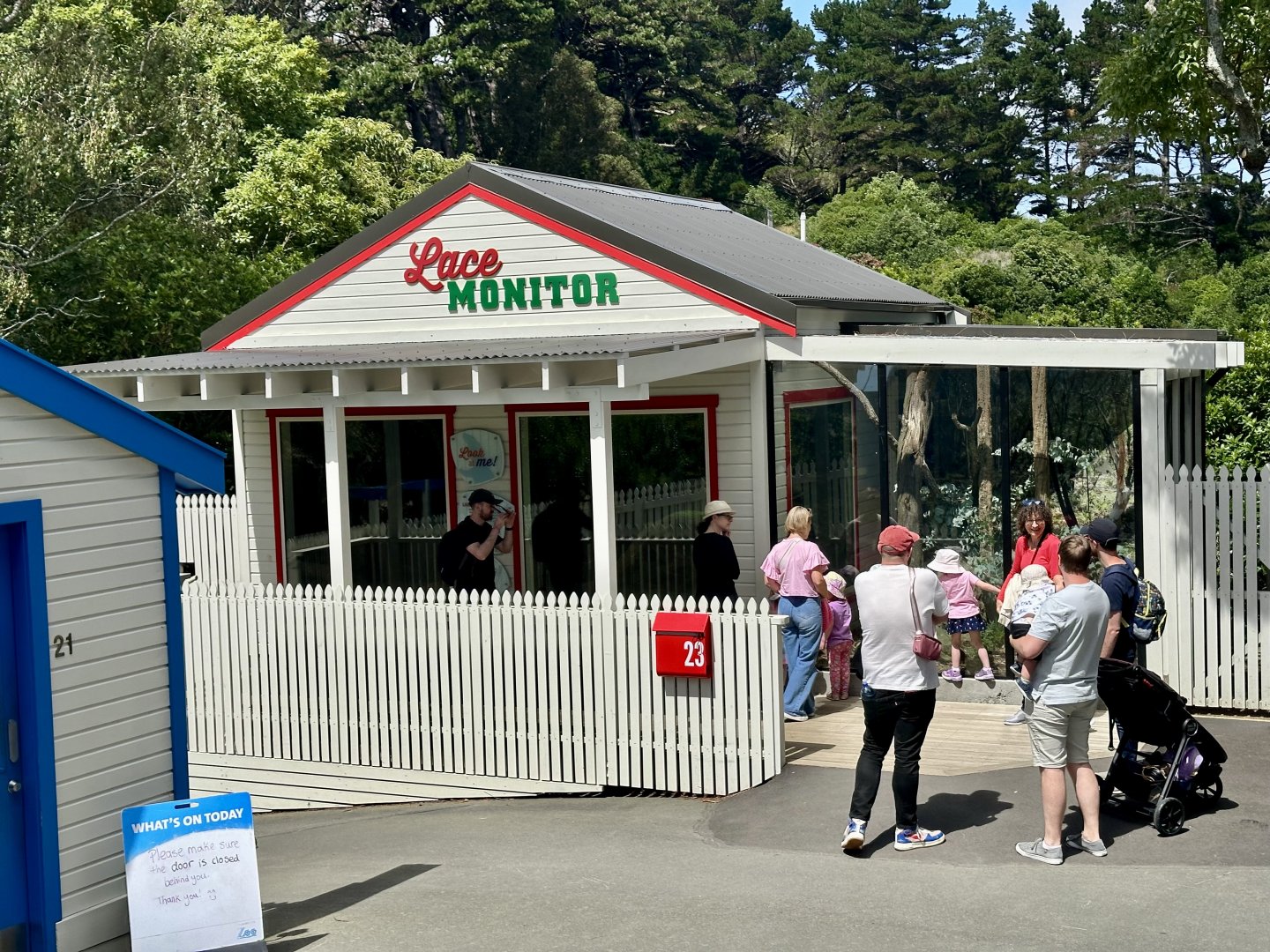 Lace Monitor Exhibit
