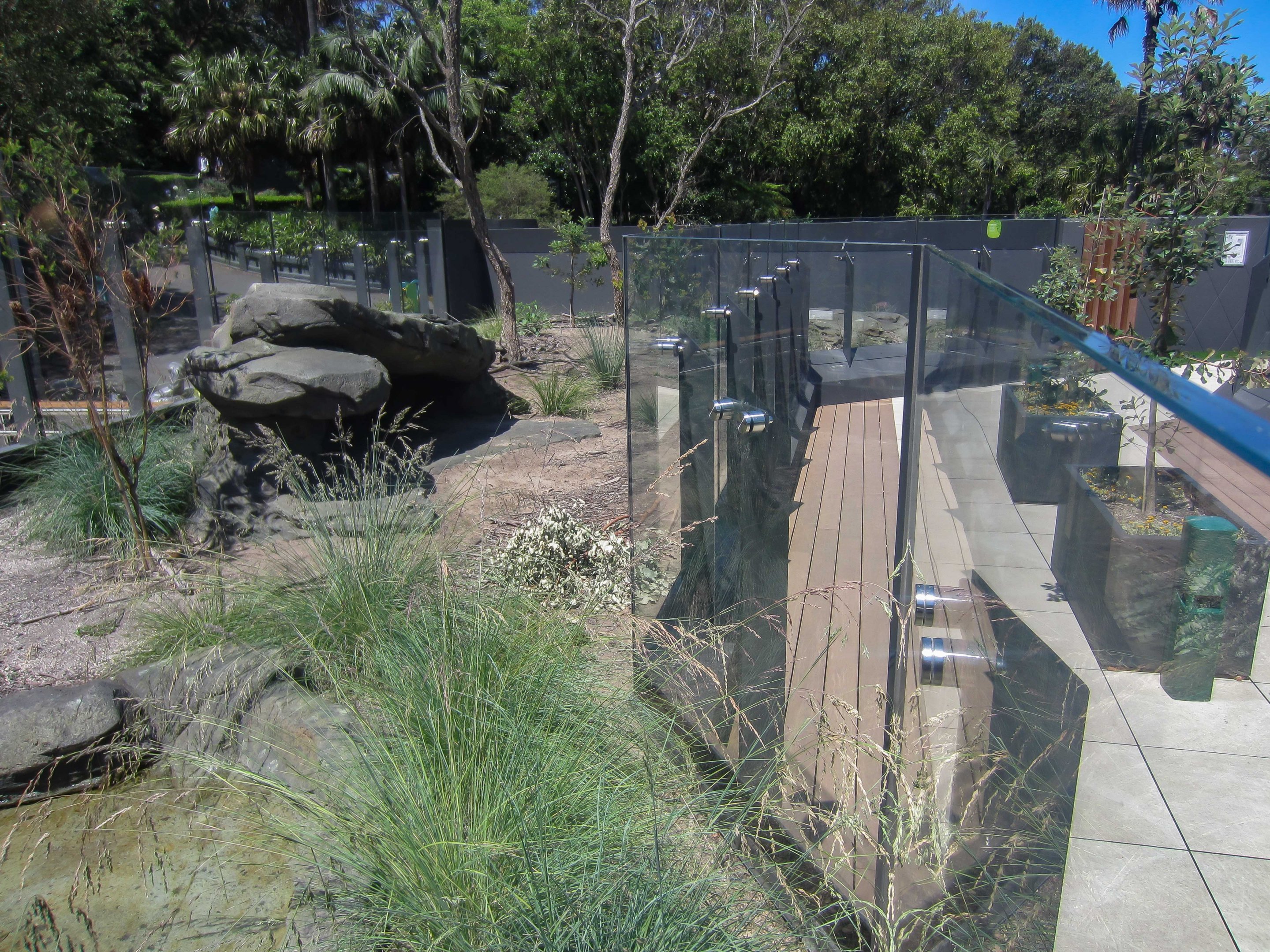 Lace Monitor exhibit