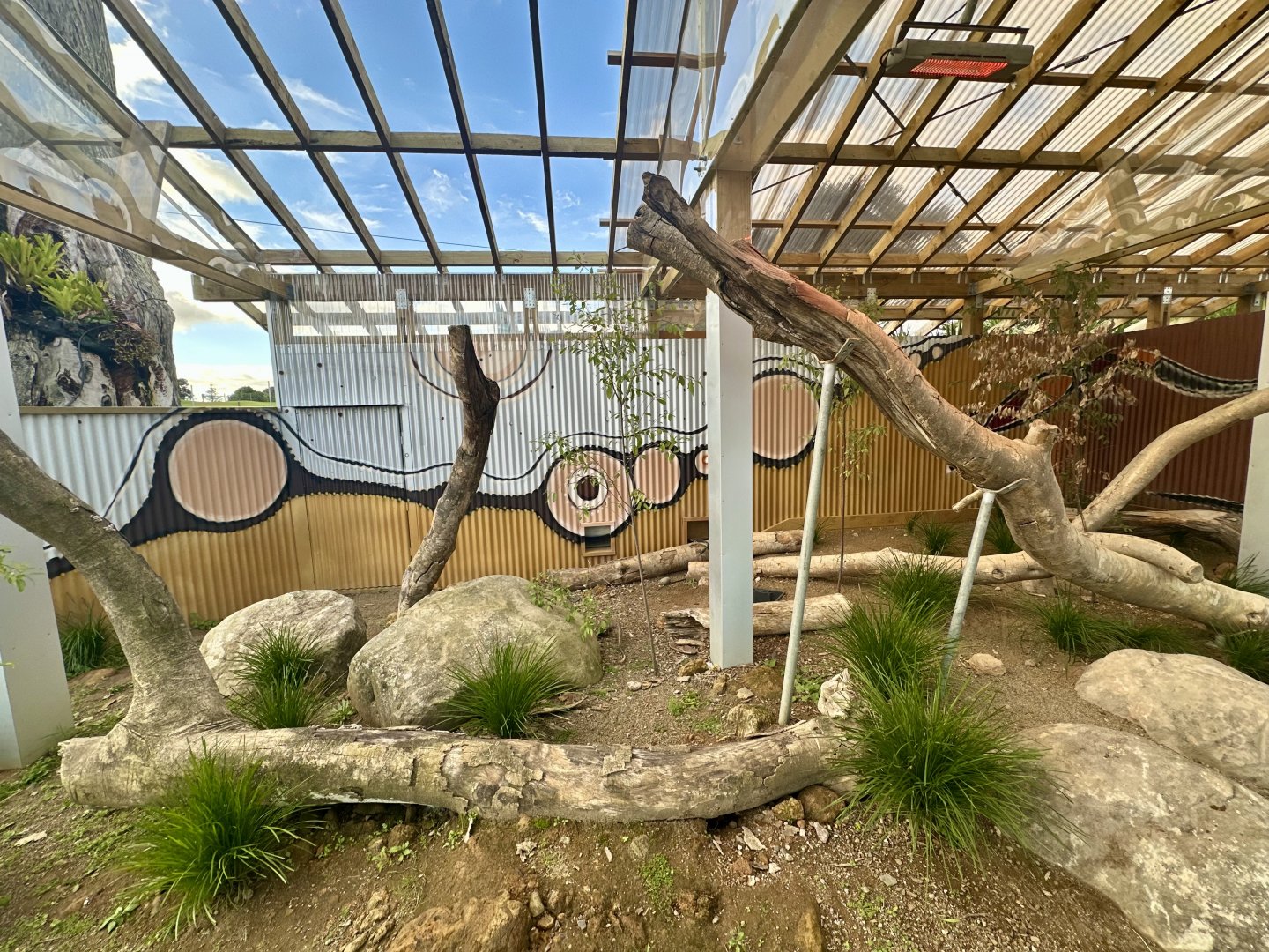 Lace Monitor Exhibit