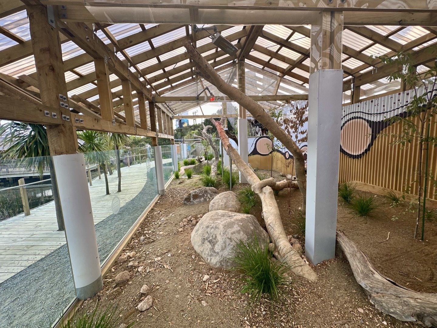 Lace Monitor Exhibit