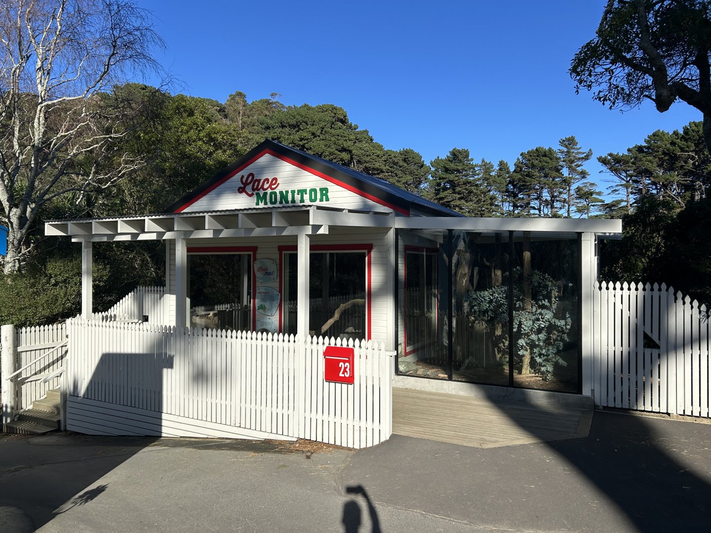 Lace Monitor Exhibit