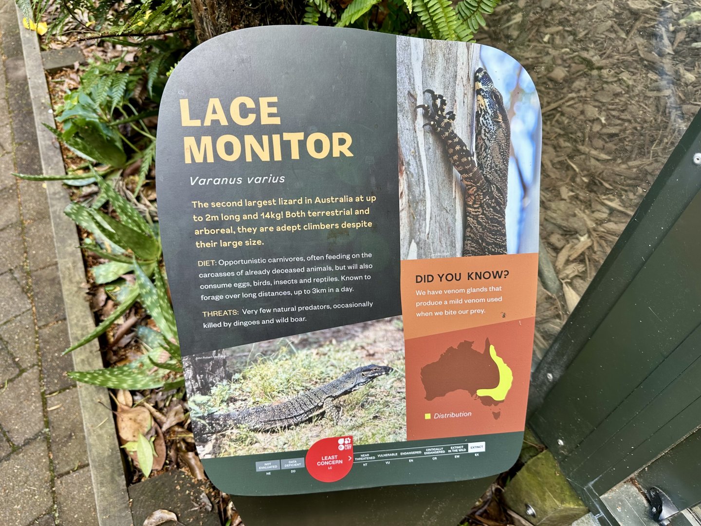 Lace Monitor Signage