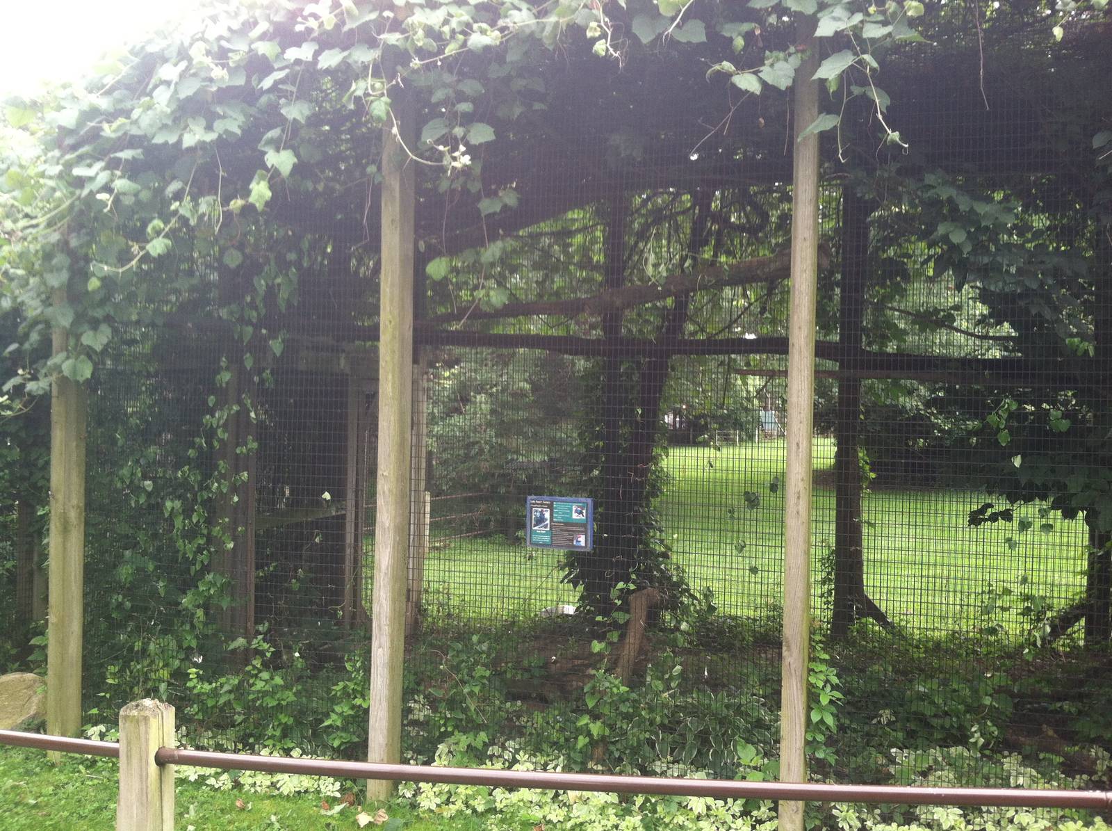 Lady Ross's Turaco Exhibit (Empty)