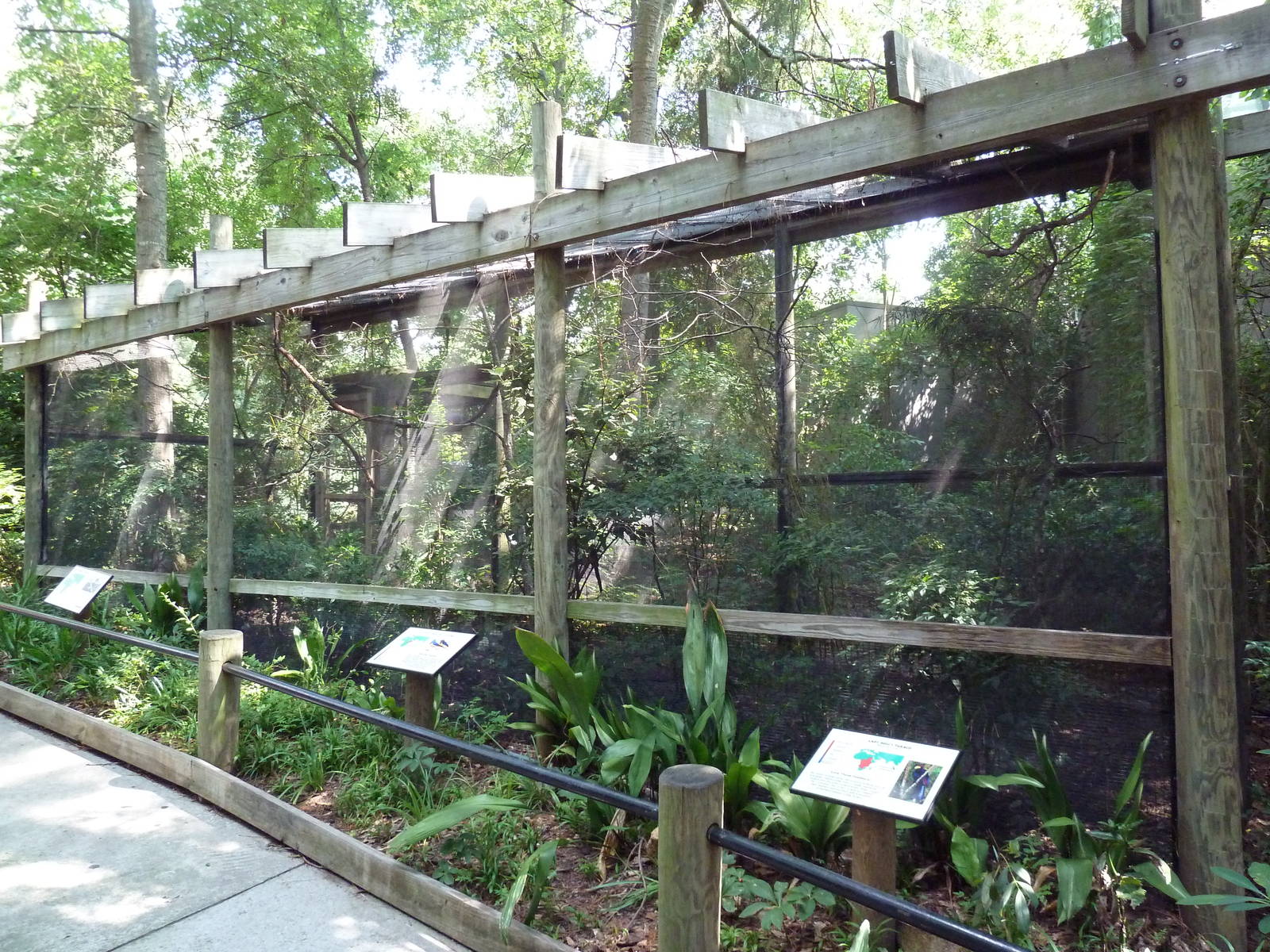 Lady Ross's Turaco/Golden-Breasted Starling/Superb Starling Exhibits