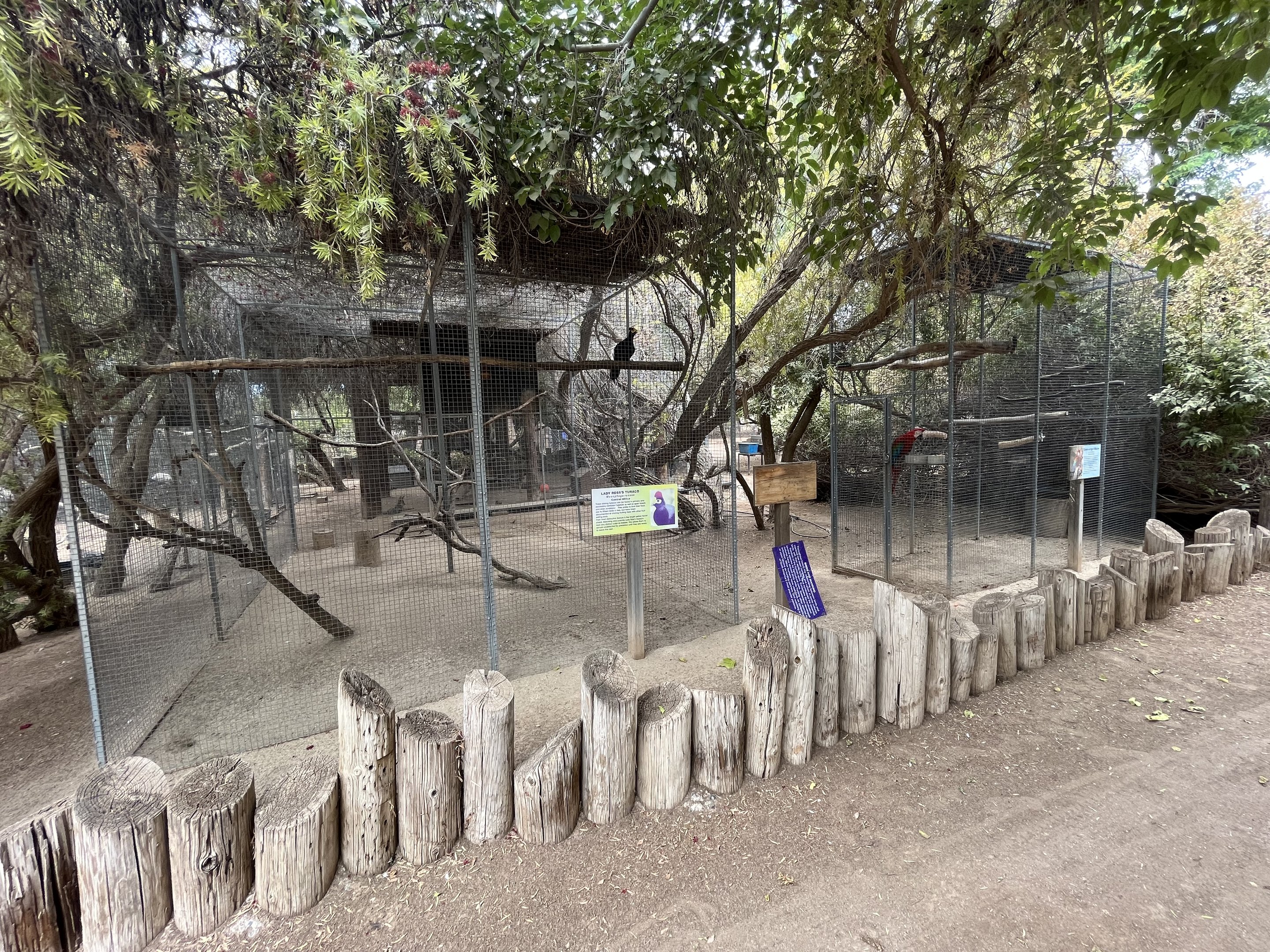 Lady Ross’s Turaco + Green-winged Macaw Aviaries