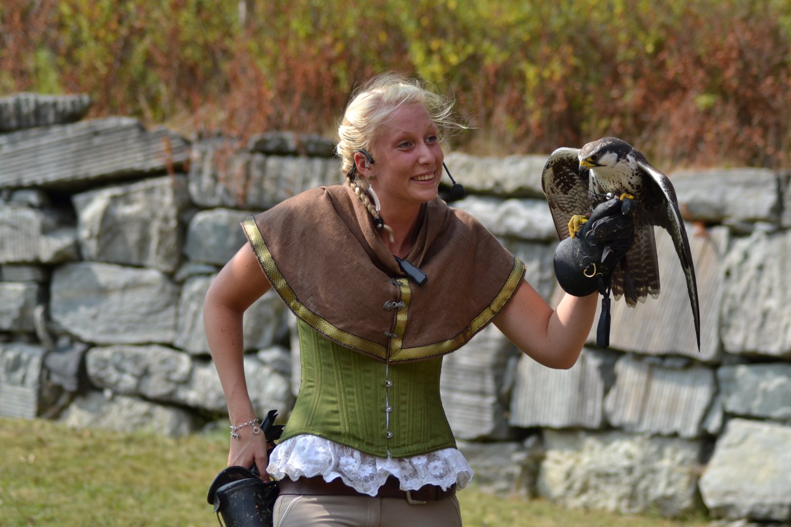 Laggar falcon "Hop" in the bird show "Wings" at Kolmården