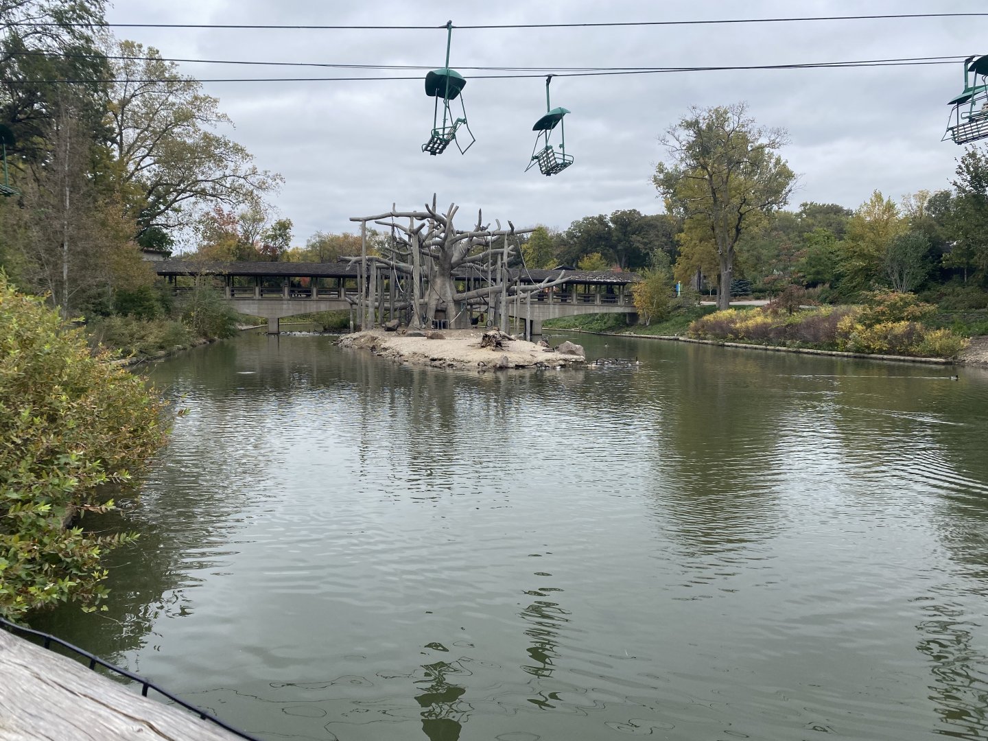 Lagoon - Black-Headed Spider Monkey/Egyptian Goose Island