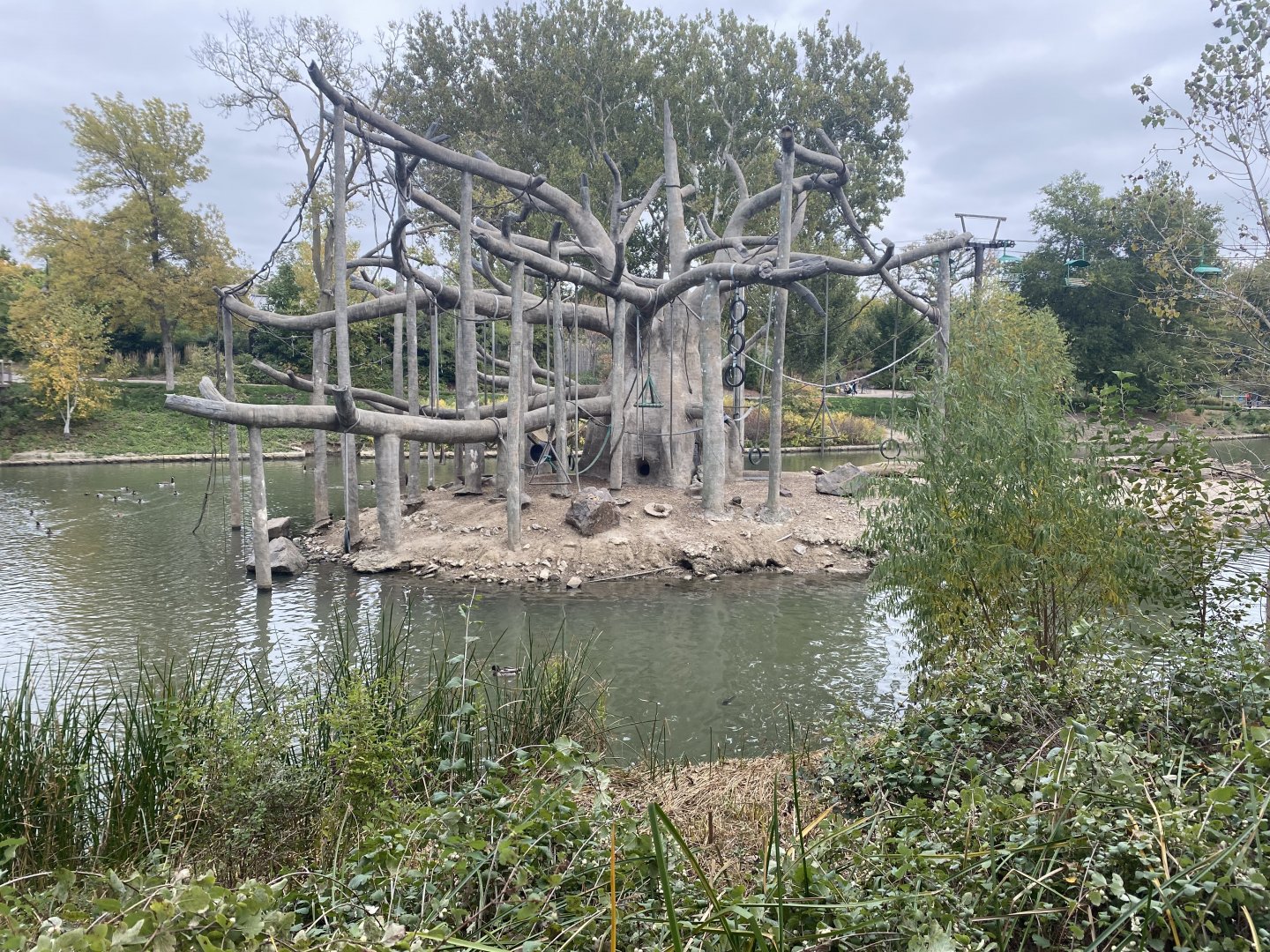 Lagoon - Black-Headed Spider Monkey/Egyptian GooseIsland