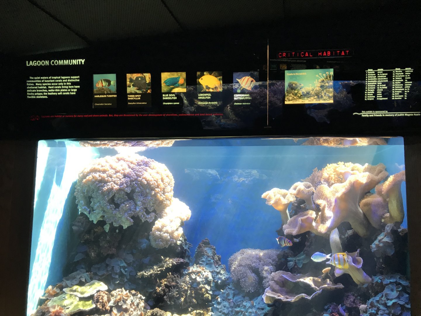 Lagoon exhibit