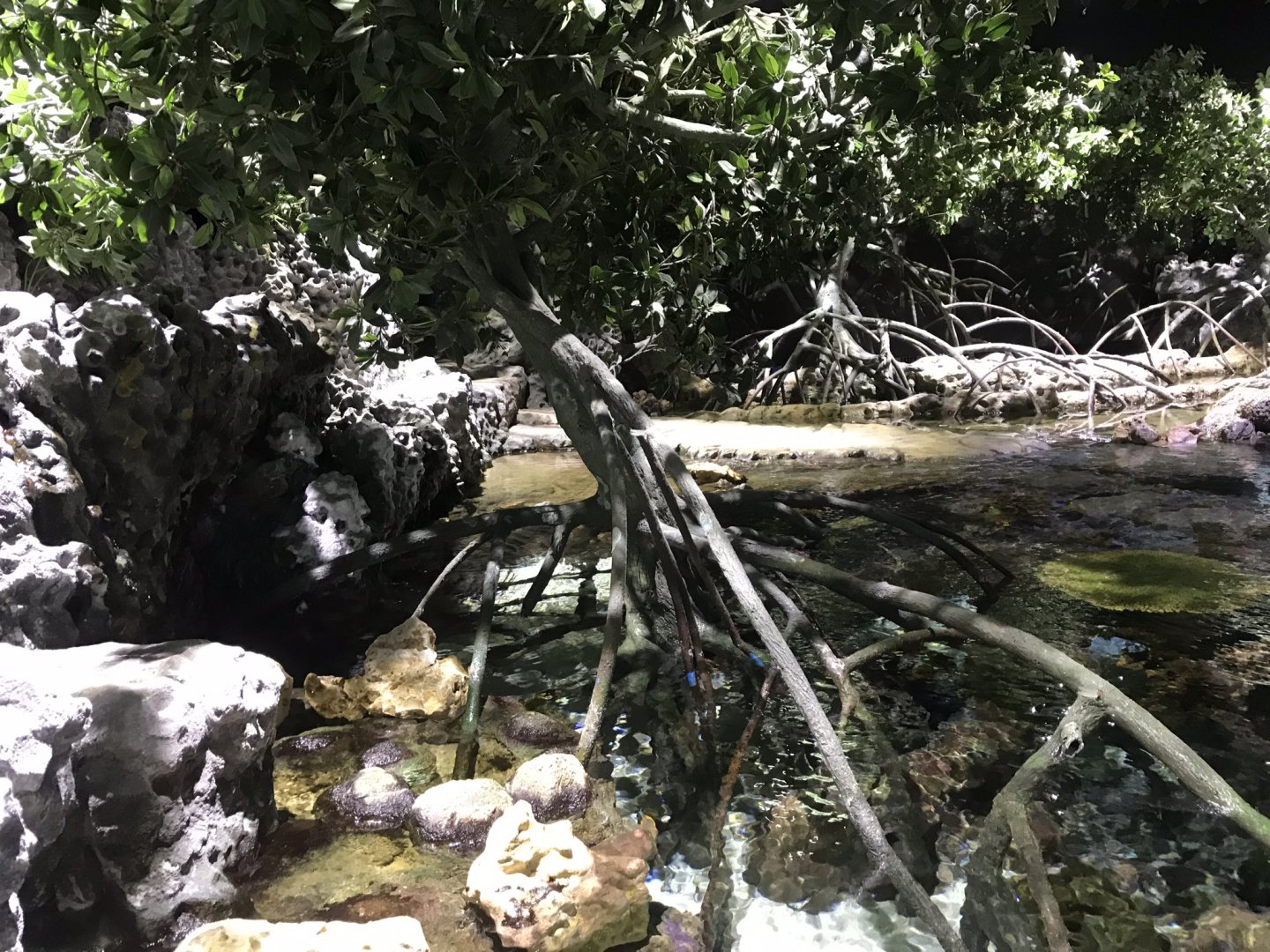 Lagoon of Light above 260519