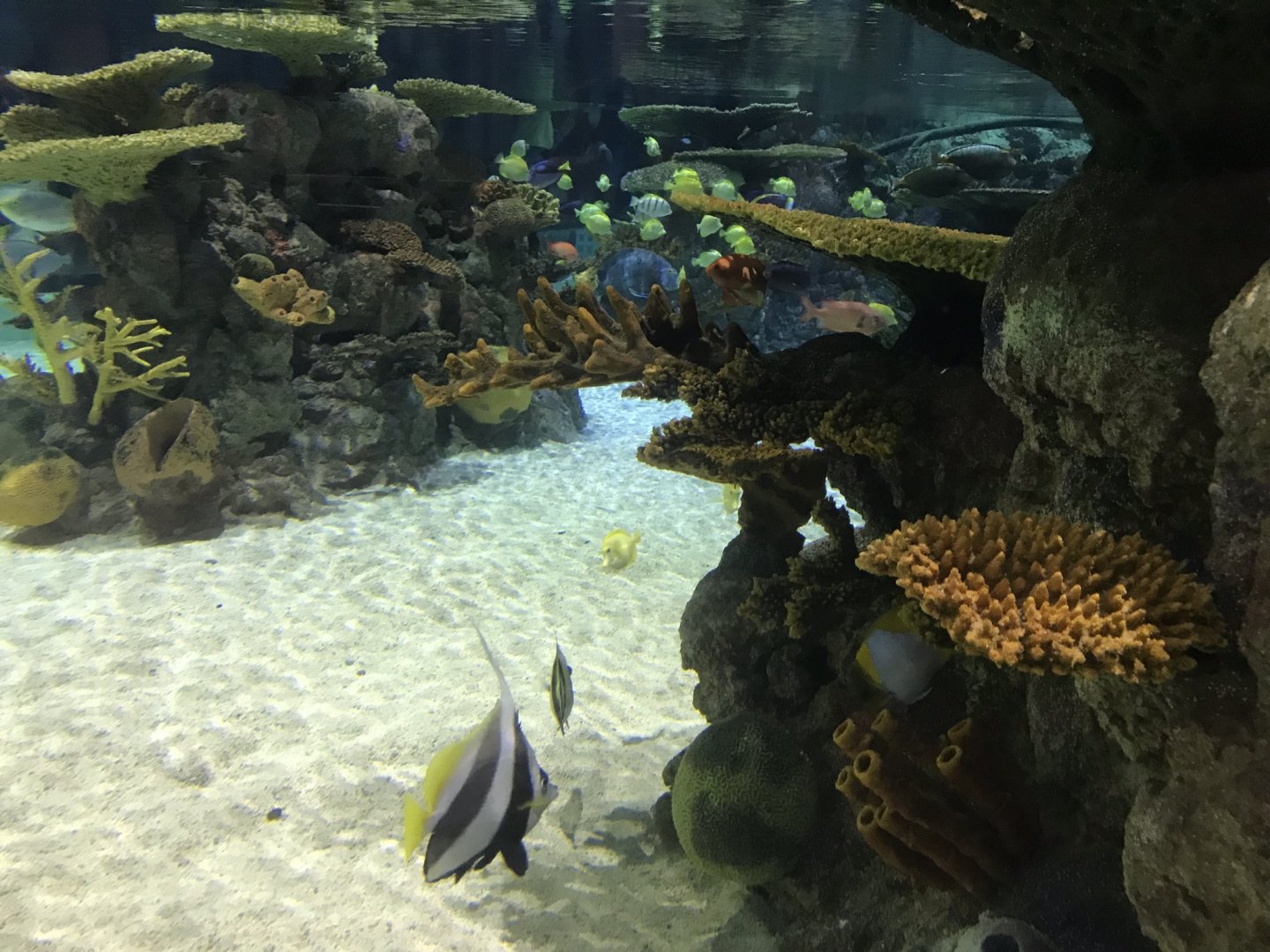 Lagoon of Light - different side 260519