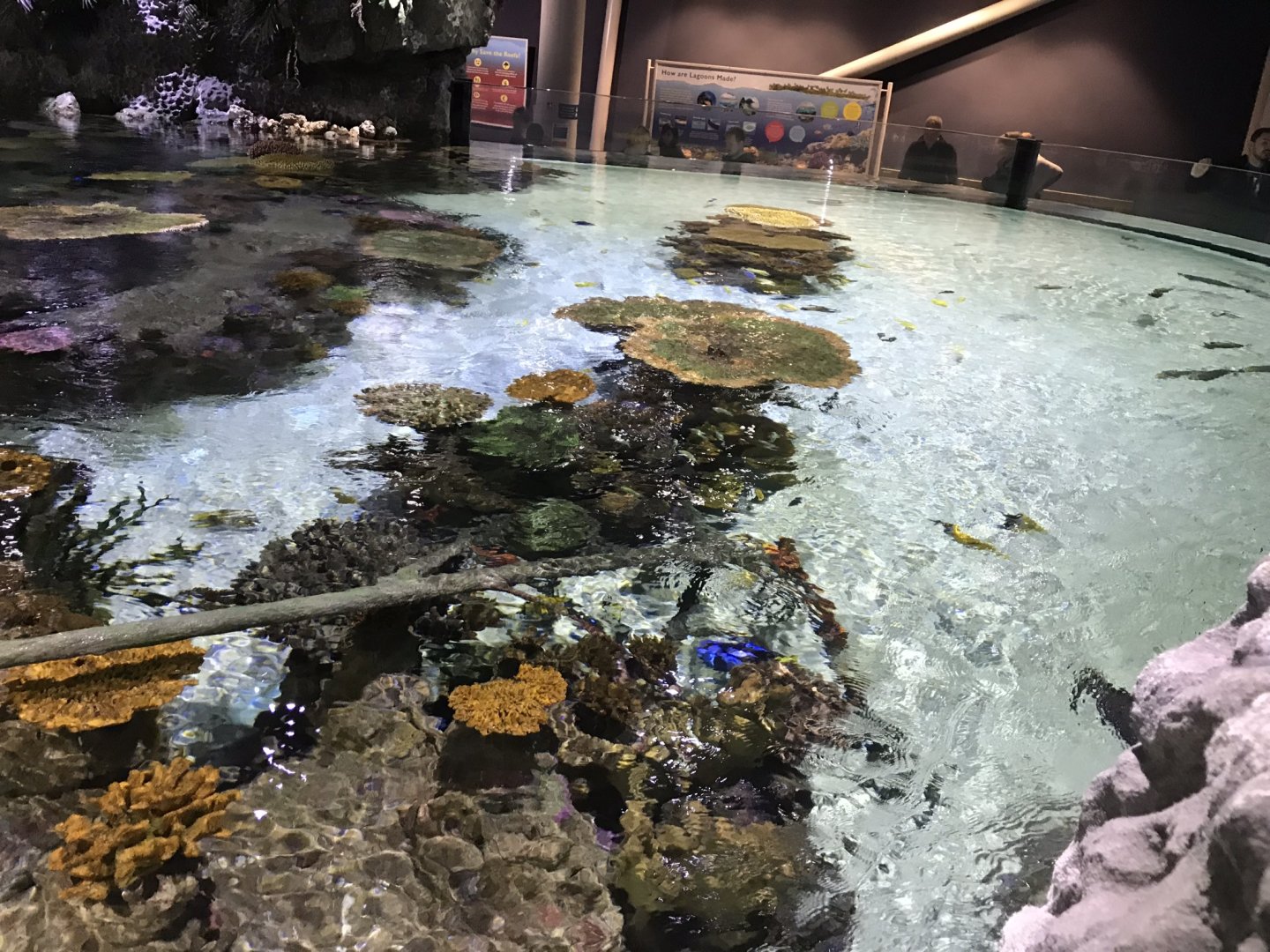 Lagoon of Light from above 260519