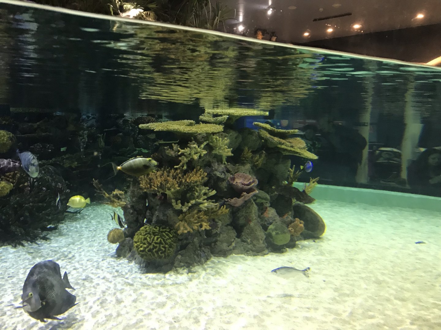 Lagoon of Light from below 260519