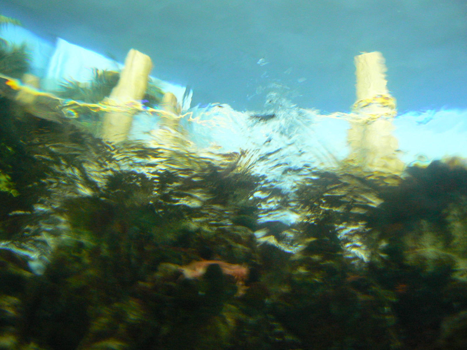 Lagoon Of Light- Underwater View